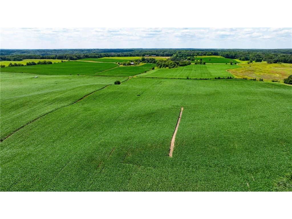 View of Land at 15XXX Paul Avenue, Marine On Saint Croix MN 55047, Marine On Saint Croix (15 of 24) - Mike Wilen | Minnesota Team Real Estate