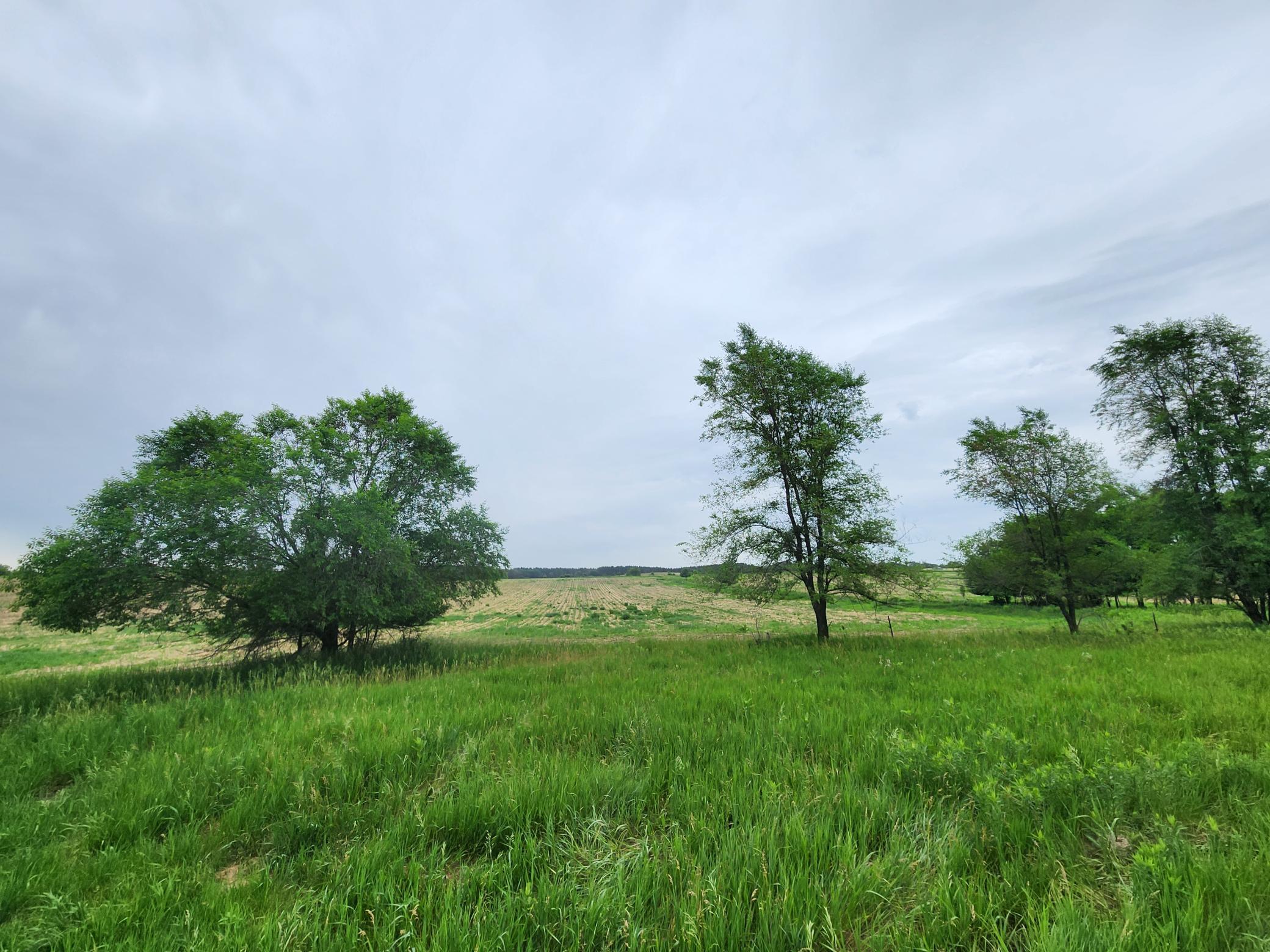 View of Land at 15XXX Paul Avenue, Marine On Saint Croix MN 55047, Marine On Saint Croix (18 of 24) - Mike Wilen | Minnesota Team Real Estate