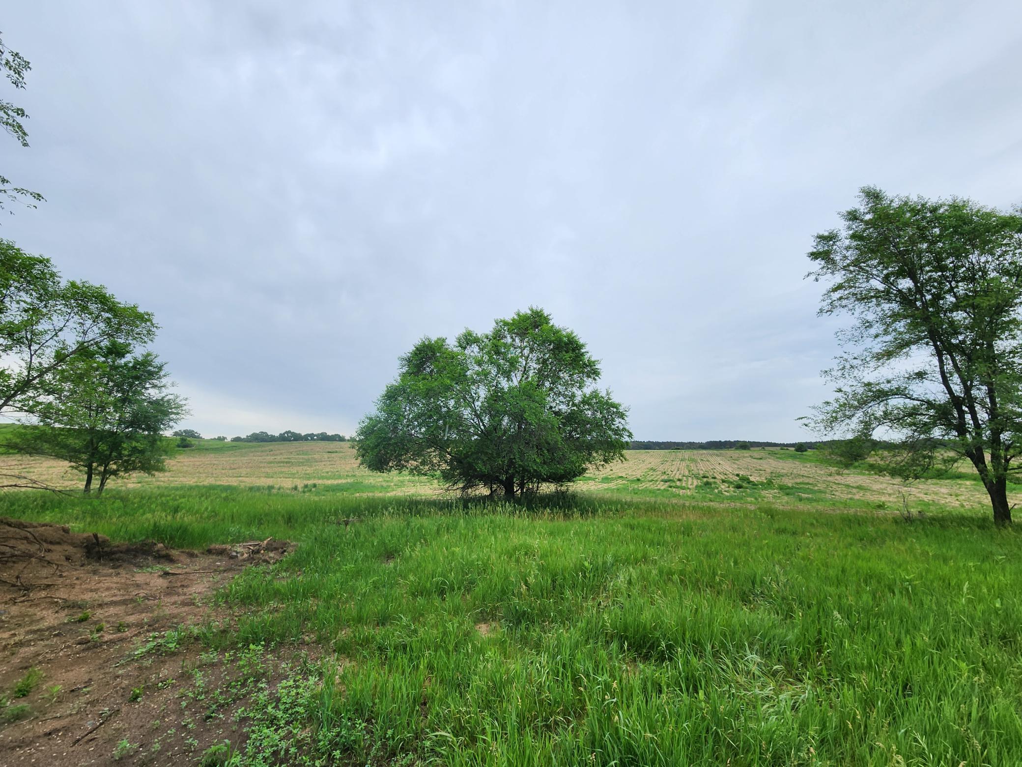 View of Land at 15XXX Paul Avenue, Marine On Saint Croix MN 55047, Marine On Saint Croix (17 of 24) - Mike Wilen | Minnesota Team Real Estate