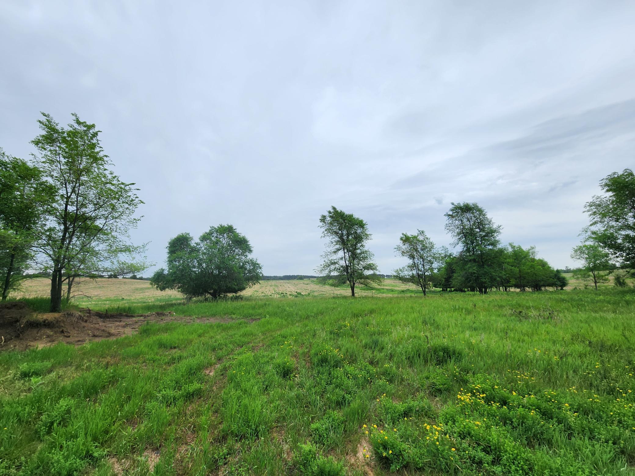View of Land at 15XXX Paul Avenue, Marine On Saint Croix MN 55047, Marine On Saint Croix (4 of 24) - Mike Wilen | Minnesota Team Real Estate