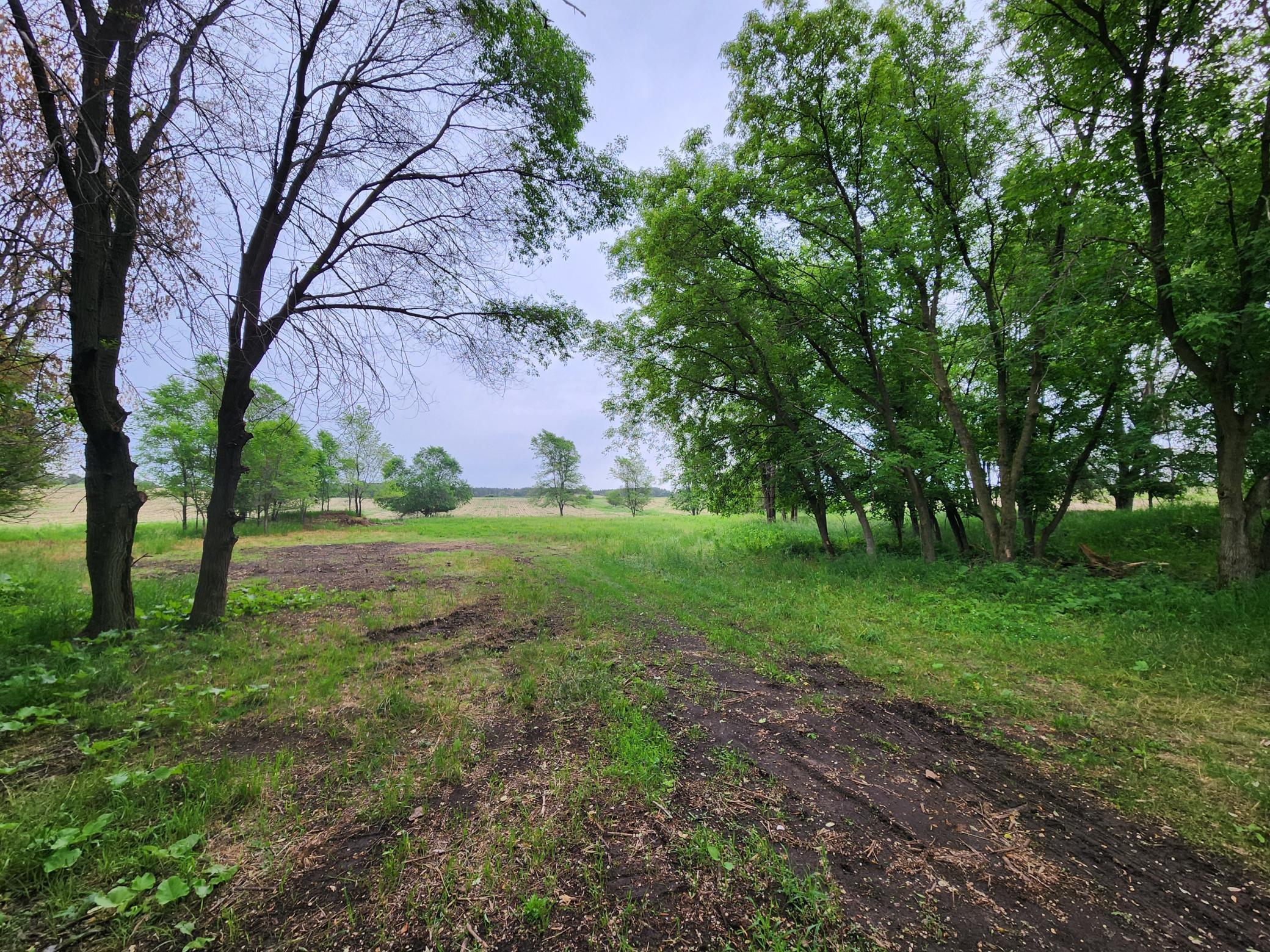 View of Land at 15XXX Paul Avenue, Marine On Saint Croix MN 55047, Marine On Saint Croix (21 of 24) - Mike Wilen | Minnesota Team Real Estate