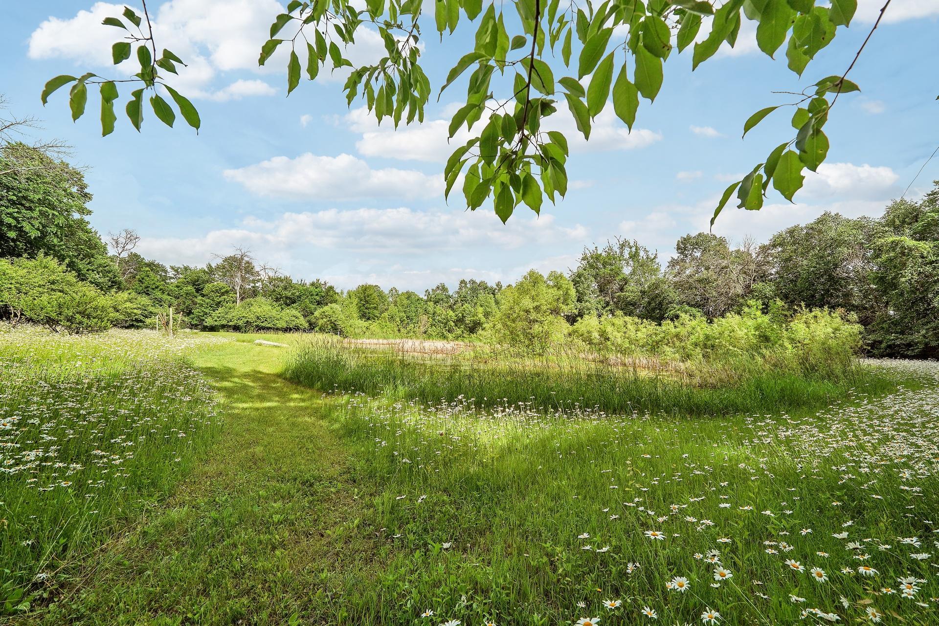 View of Residential at 4258 153rd Avenue, Ham Lake MN 55304, Ham Lake (42 of 54) - Mike Wilen | Minnesota Team Real Estate
