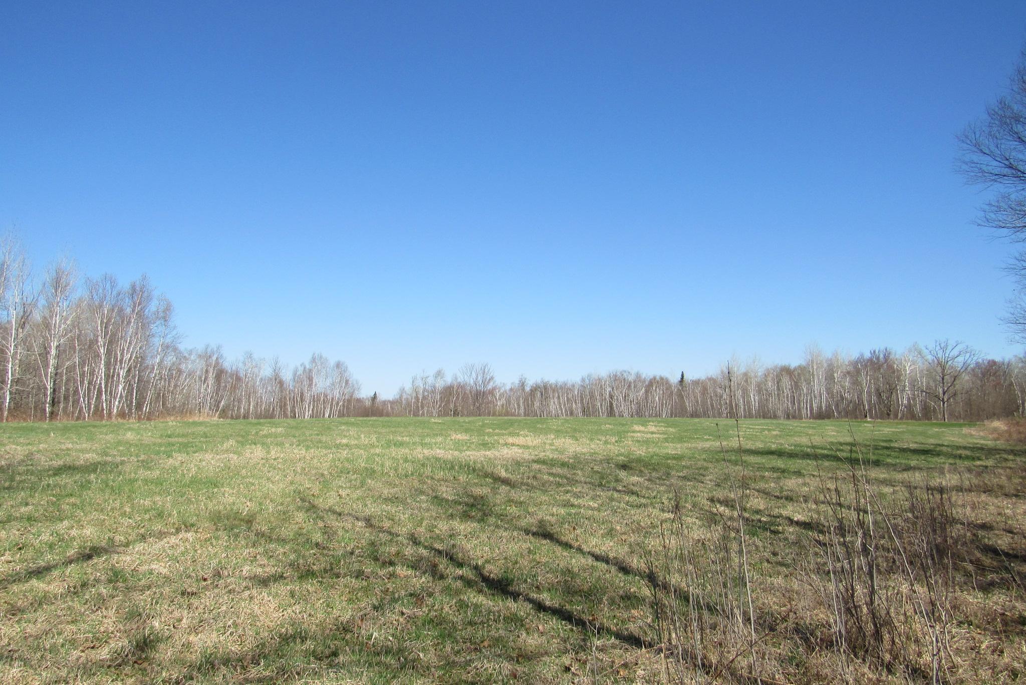 View of Land at TBD-1 County Road 41, Willow River MN 55795, Willow River (11 of 16) - Mike Wilen | Minnesota Team Real Estate