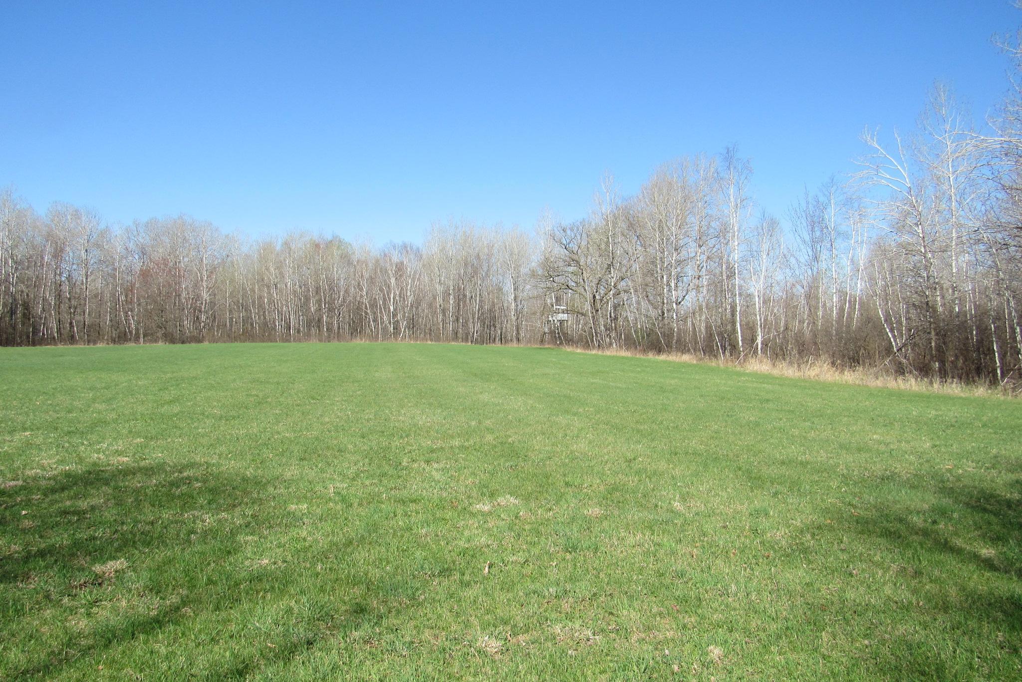 View of Land at TBD-1 County Road 41, Willow River MN 55795, Willow River (9 of 16) - Mike Wilen | Minnesota Team Real Estate