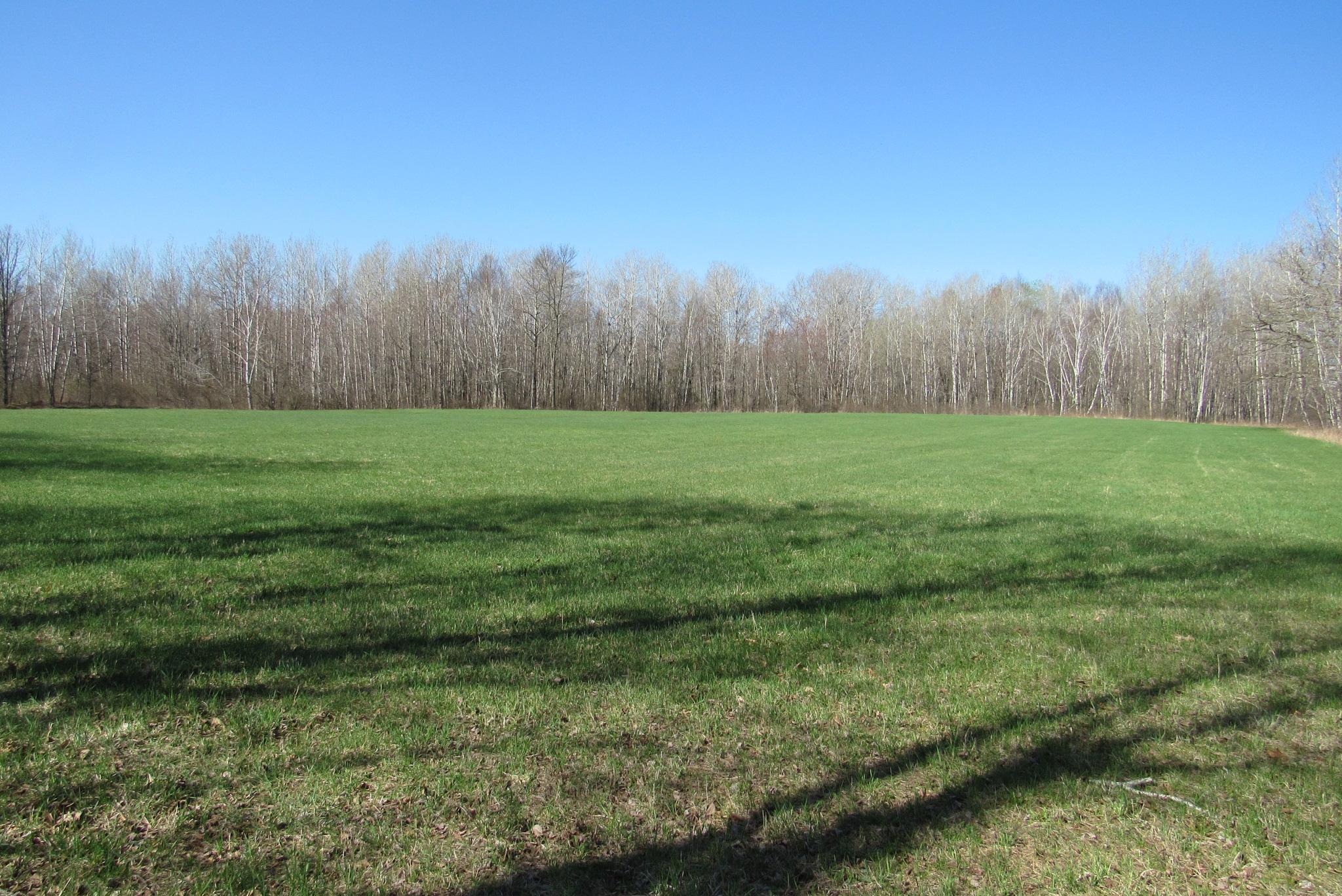 View of Land at TBD-1 County Road 41, Willow River MN 55795, Willow River (8 of 16) - Mike Wilen | Minnesota Team Real Estate