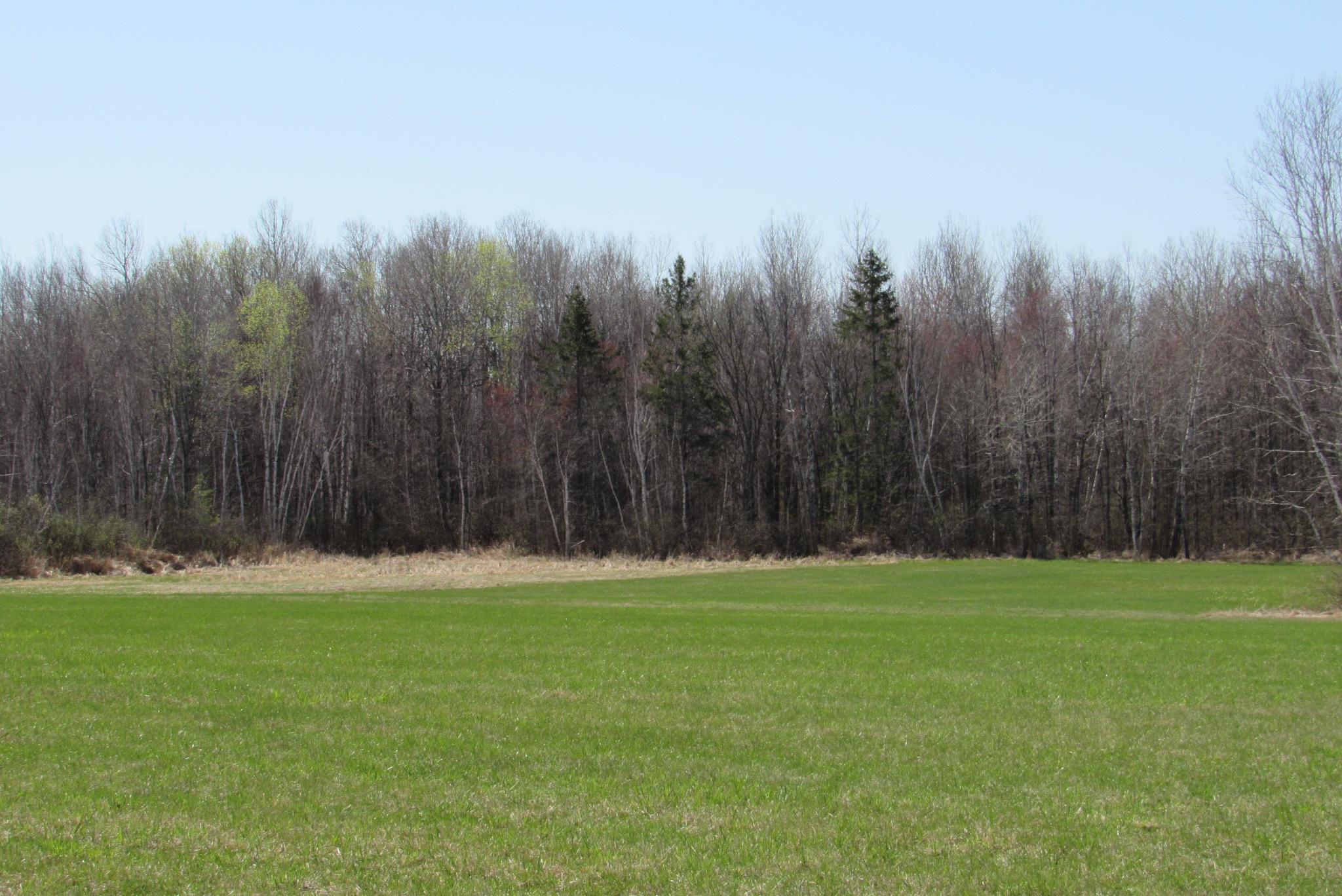 View of Land at TBD-1 County Road 41, Willow River MN 55795, Willow River (12 of 16) - Mike Wilen | Minnesota Team Real Estate
