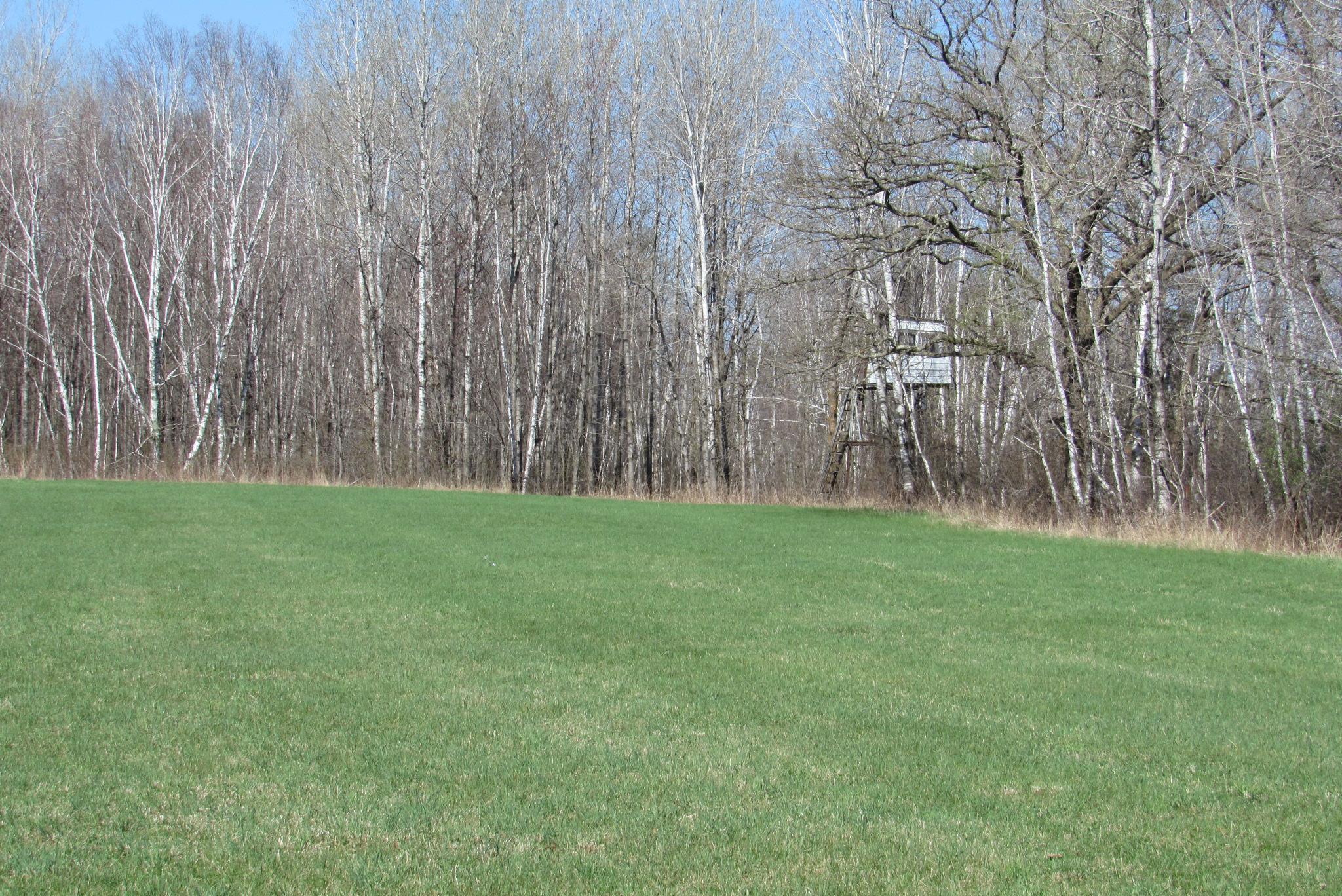 View of Land at TBD-1 County Road 41, Willow River MN 55795, Willow River (7 of 16) - Mike Wilen | Minnesota Team Real Estate