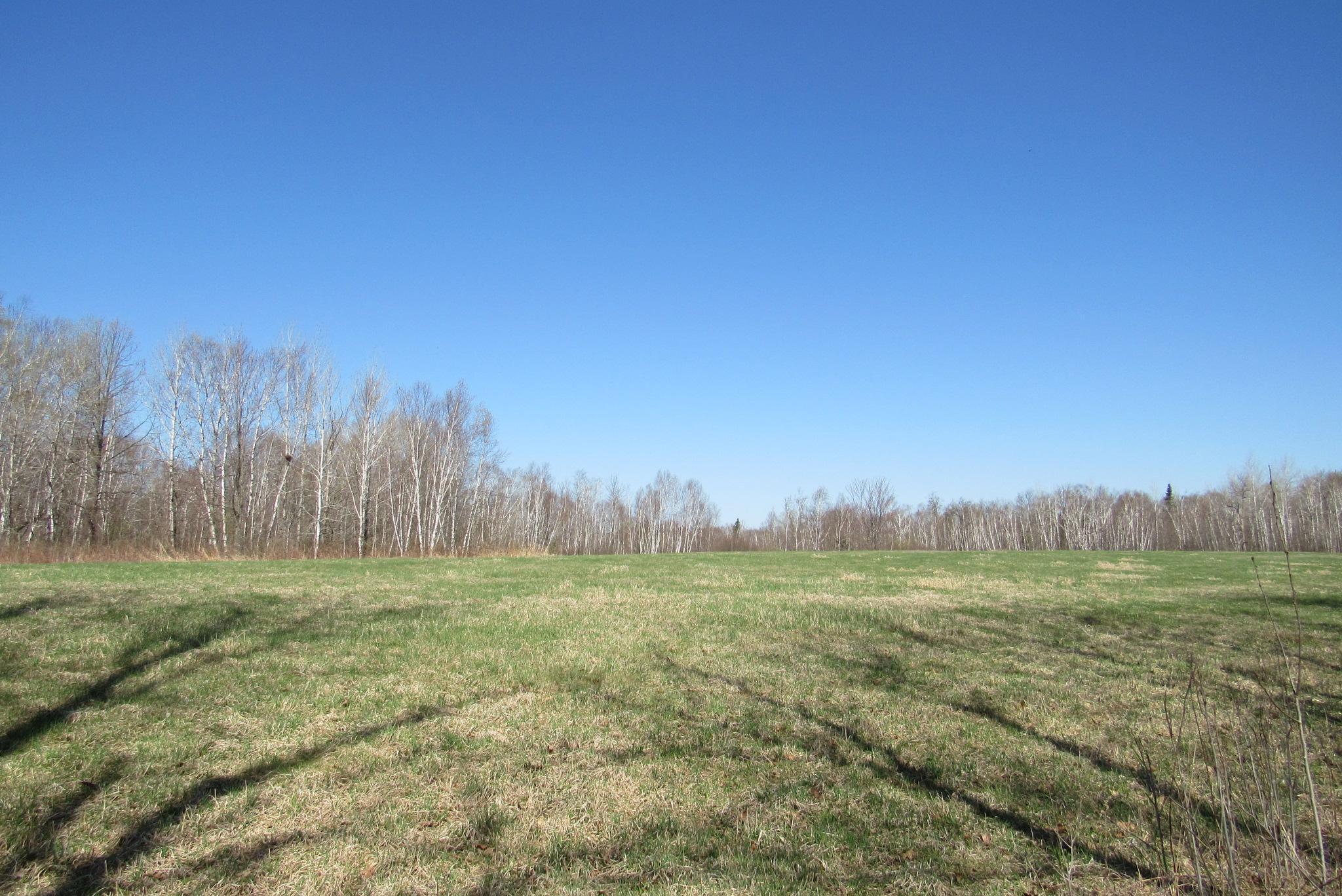 View of Land at TBD-1 County Road 41, Willow River MN 55795, Willow River (10 of 16) - Mike Wilen | Minnesota Team Real Estate