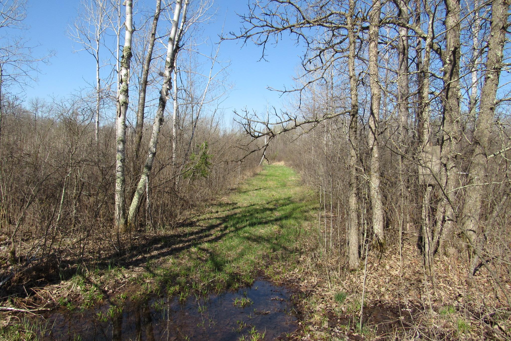 View of Land at TBD-1 County Road 41, Willow River MN 55795, Willow River (5 of 16) - Mike Wilen | Minnesota Team Real Estate