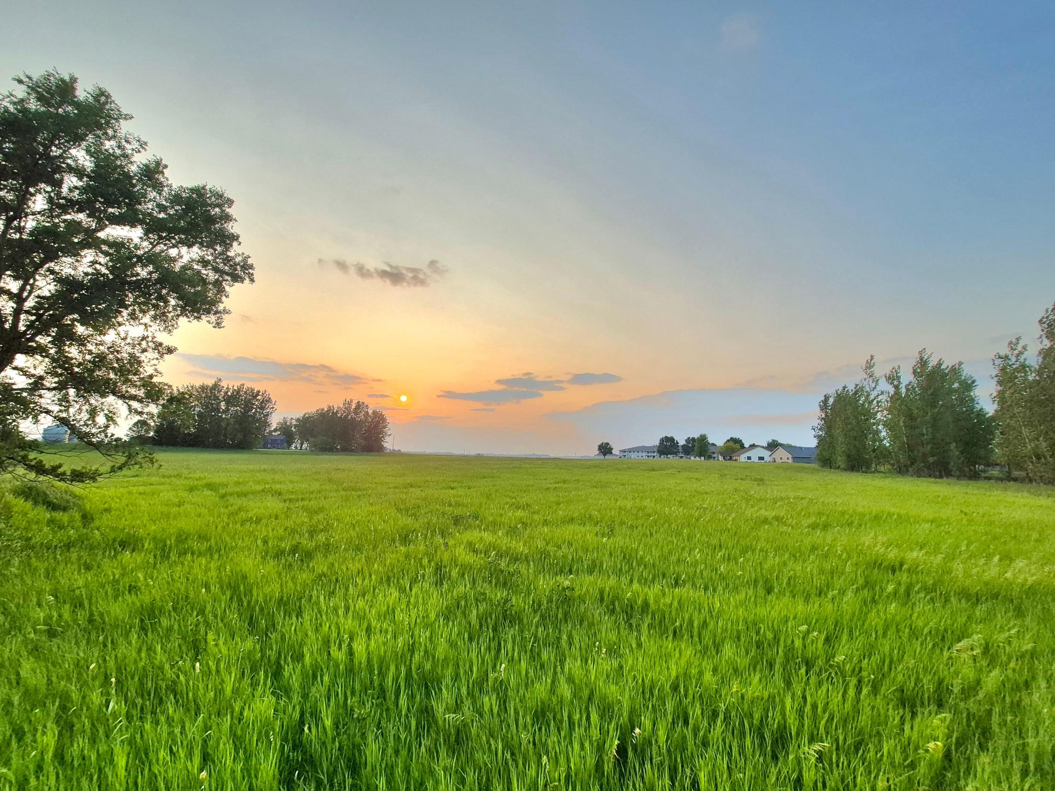 View of Land at XXX Frenzel Drive, Arlington MN 55307, Arlington (3 of 20) - Mike Wilen | Minnesota Team Real Estate