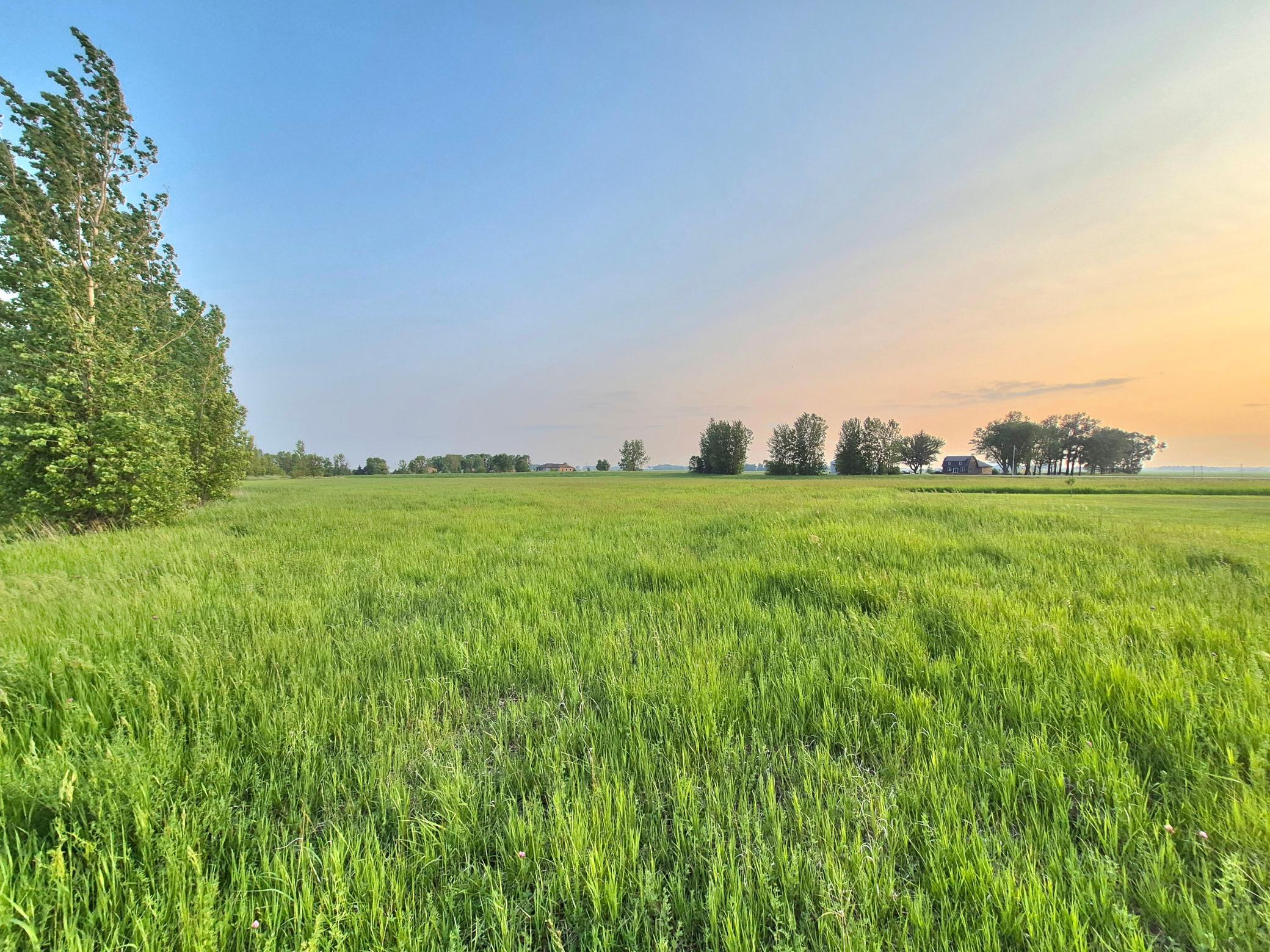 View of Land at XXX Frenzel Drive, Arlington MN 55307, Arlington (5 of 20) - Mike Wilen | Minnesota Team Real Estate