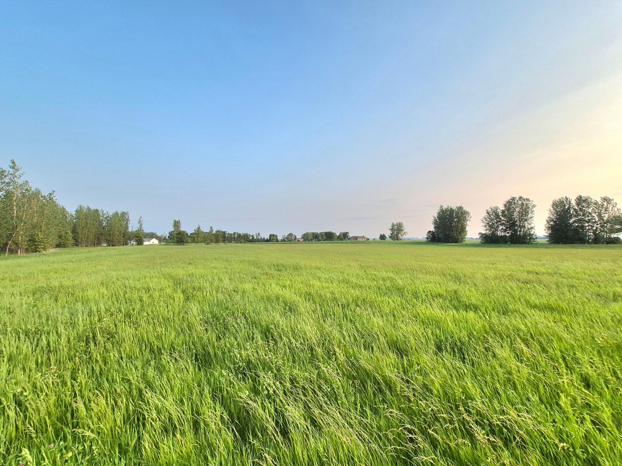 View of Land at XXX Frenzel Drive, Arlington MN 55307, Arlington (7 of 20) - Mike Wilen | Minnesota Team Real Estate