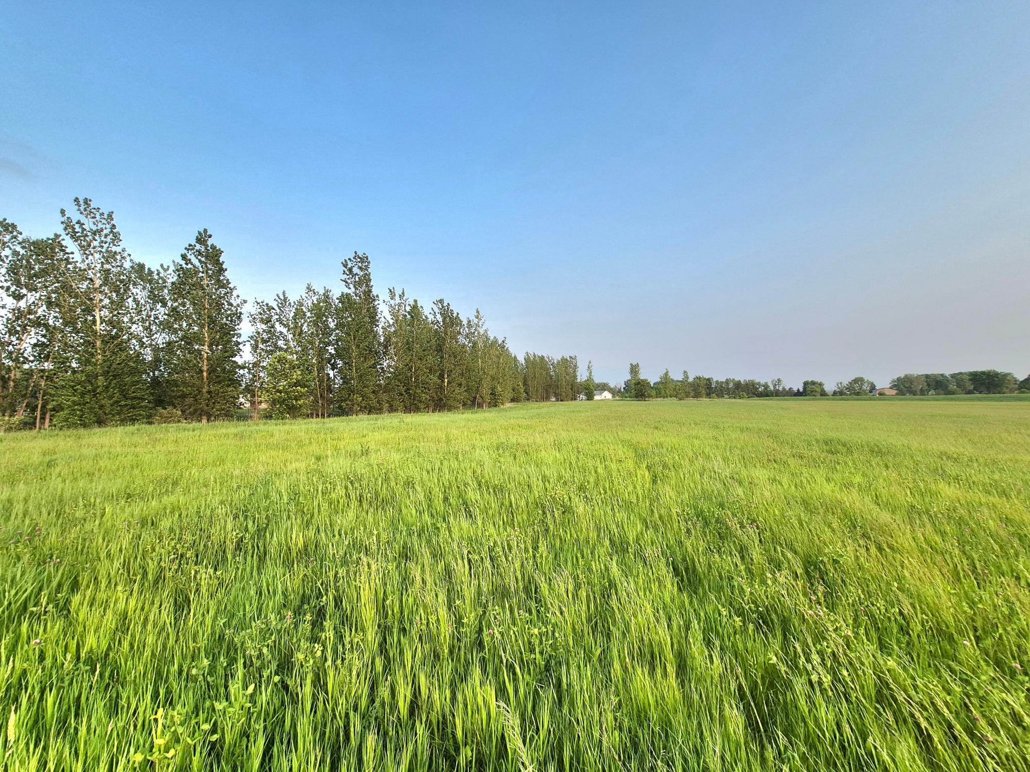 View of Land at XXX Frenzel Drive, Arlington MN 55307, Arlington (10 of 20) - Mike Wilen | Minnesota Team Real Estate