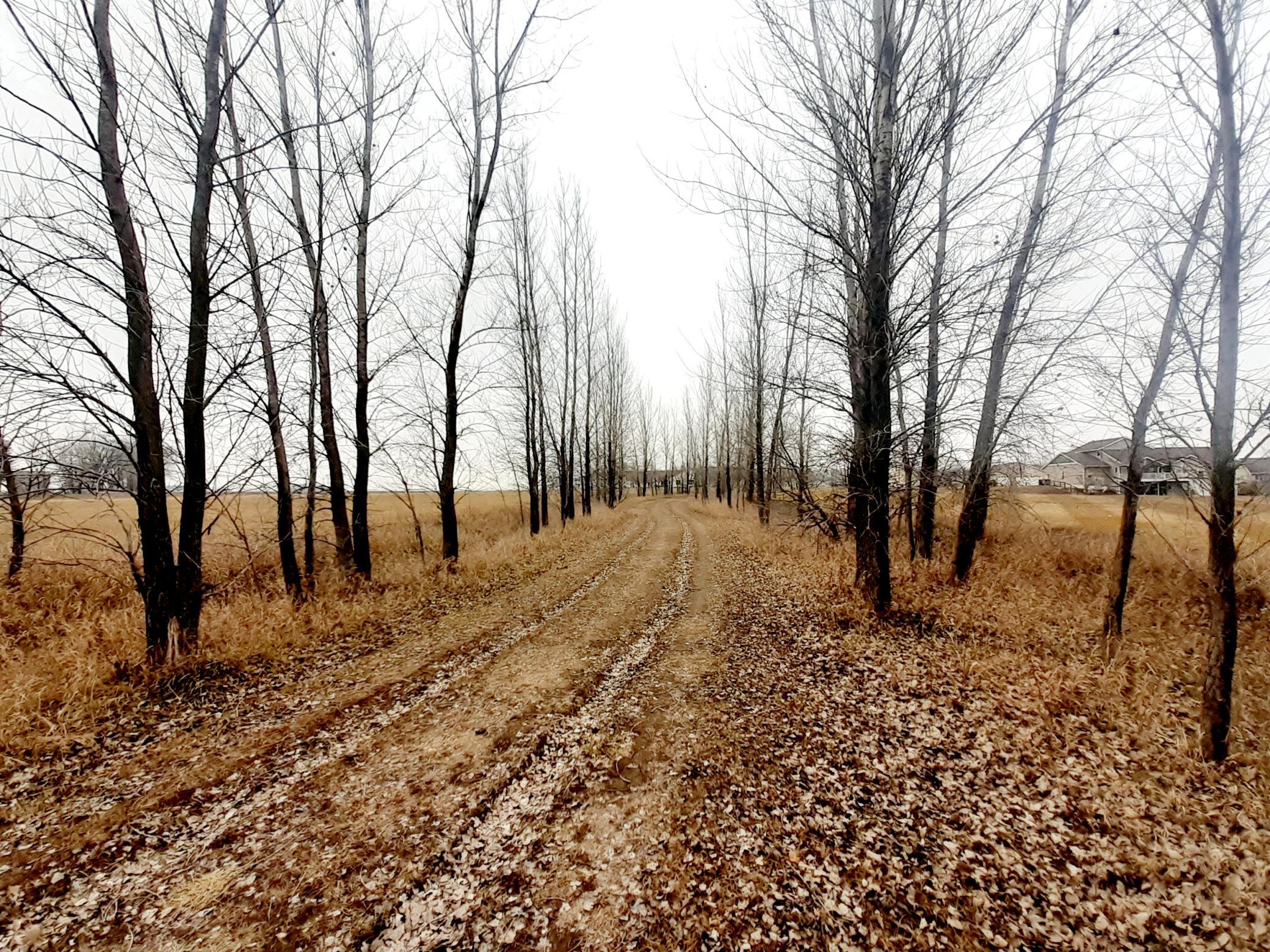 View of Land at XXX Frenzel Drive, Arlington MN 55307, Arlington (17 of 20) - Mike Wilen | Minnesota Team Real Estate