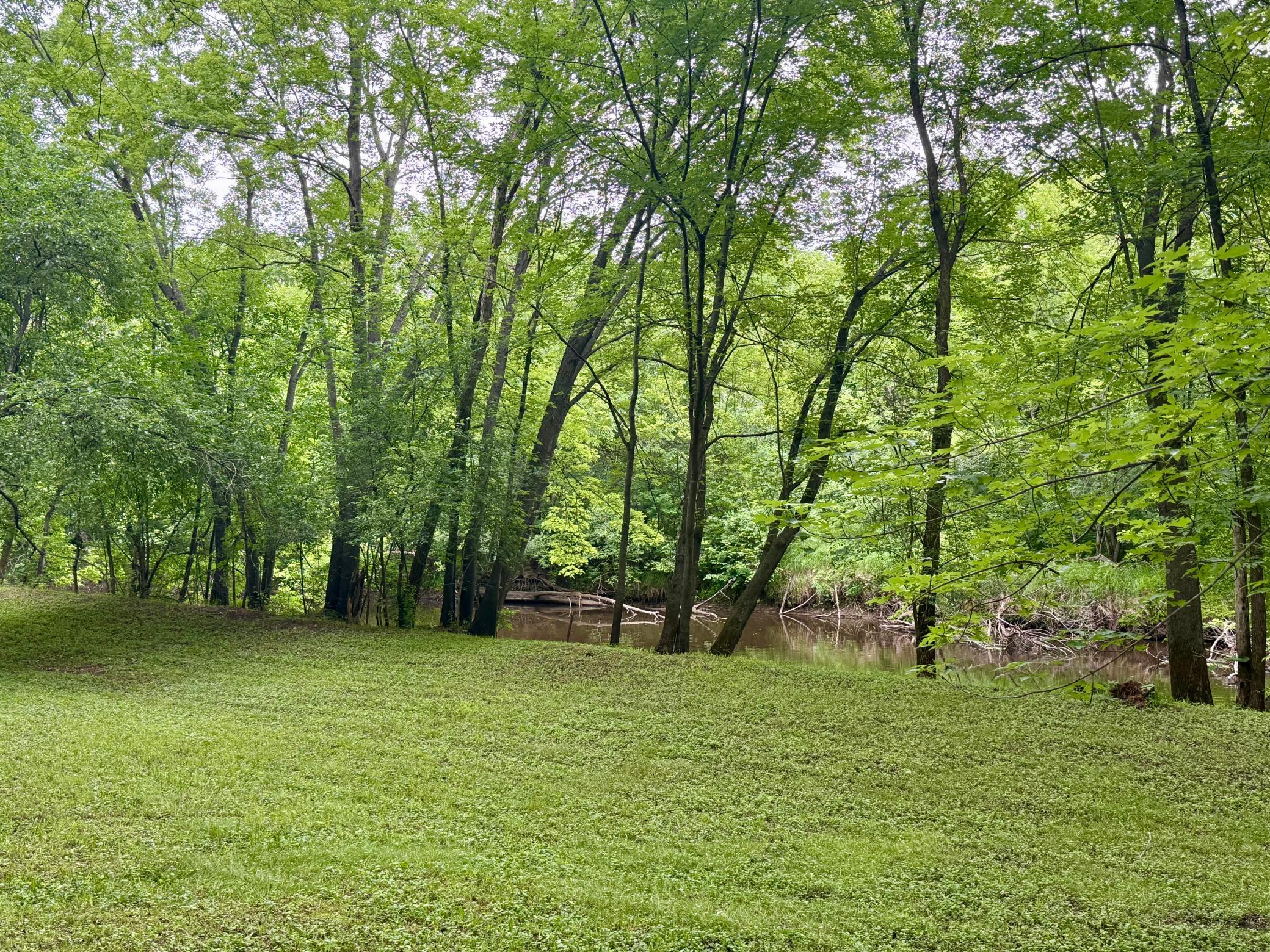 View of Residential at 9706 State Highway 95, Princeton MN 55371, Princeton (54 of 57) - Mike Wilen | Minnesota Team Real Estate