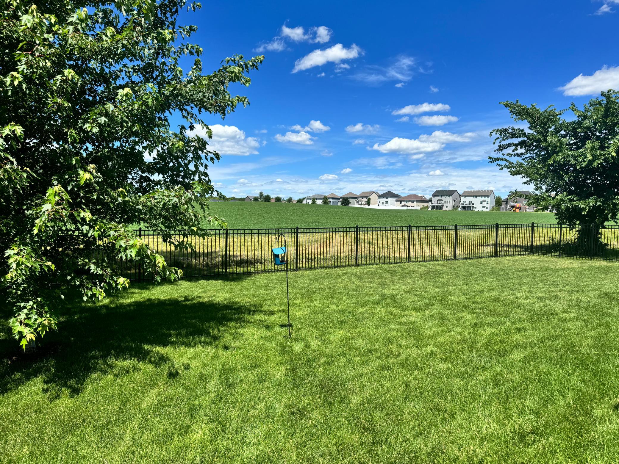 View of Residential at 1562 Edgebrook Lane, Carver MN 55315, Carver (38 of 39) - Mike Wilen | Minnesota Team Real Estate