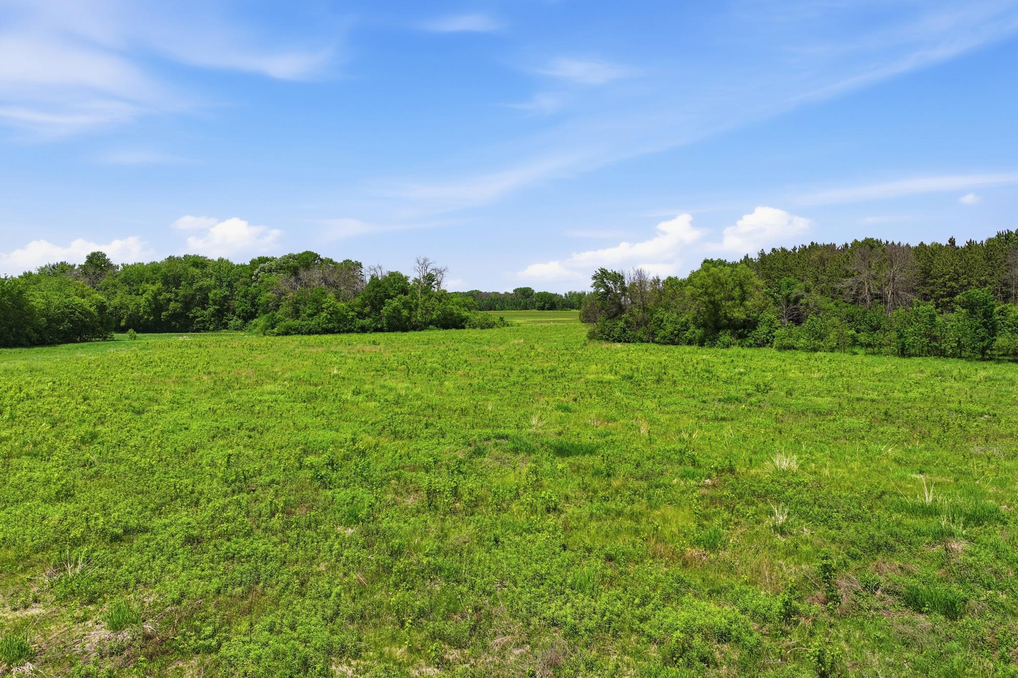 View of Residential at 880 Wild Oak Trail, Independence MN 55359, Independence (83 of 116) - Mike Wilen | Minnesota Team Real Estate