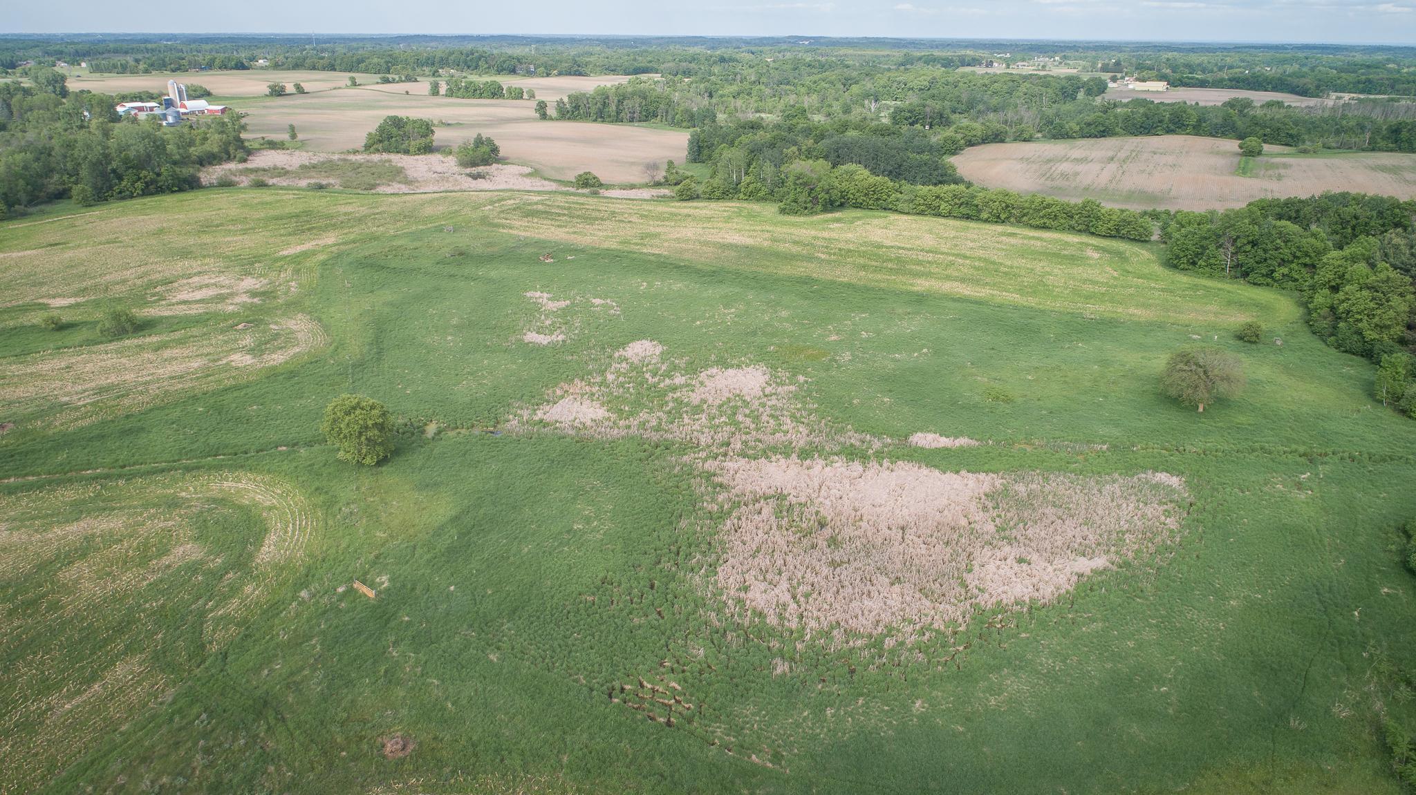 View of Land at TBD Rush Point Drive, Stanchfield MN 55080, Stanchfield (28 of 28) - Mike Wilen | Minnesota Team Real Estate