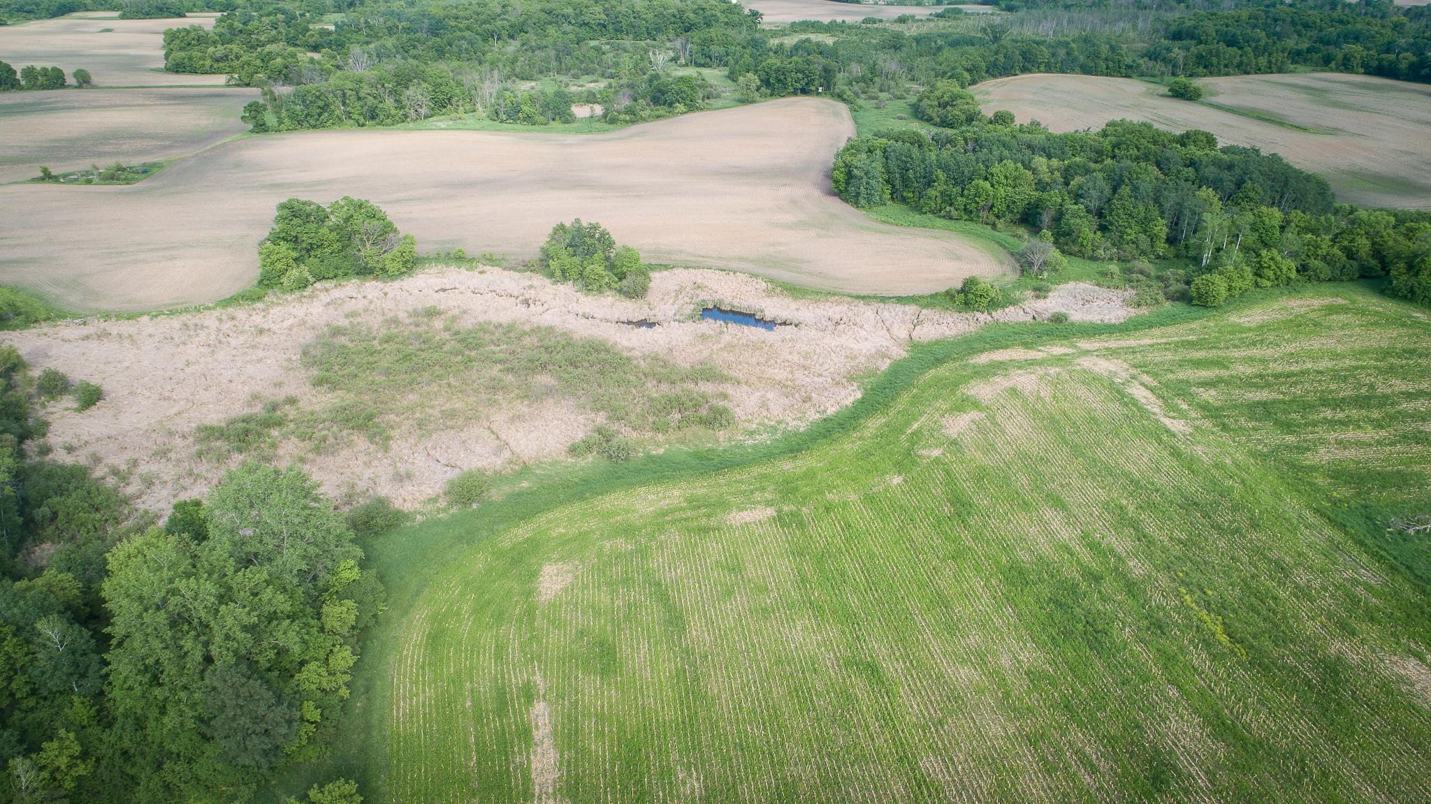 View of Land at TBD Rush Point Drive, Stanchfield MN 55080, Stanchfield (24 of 28) - Mike Wilen | Minnesota Team Real Estate