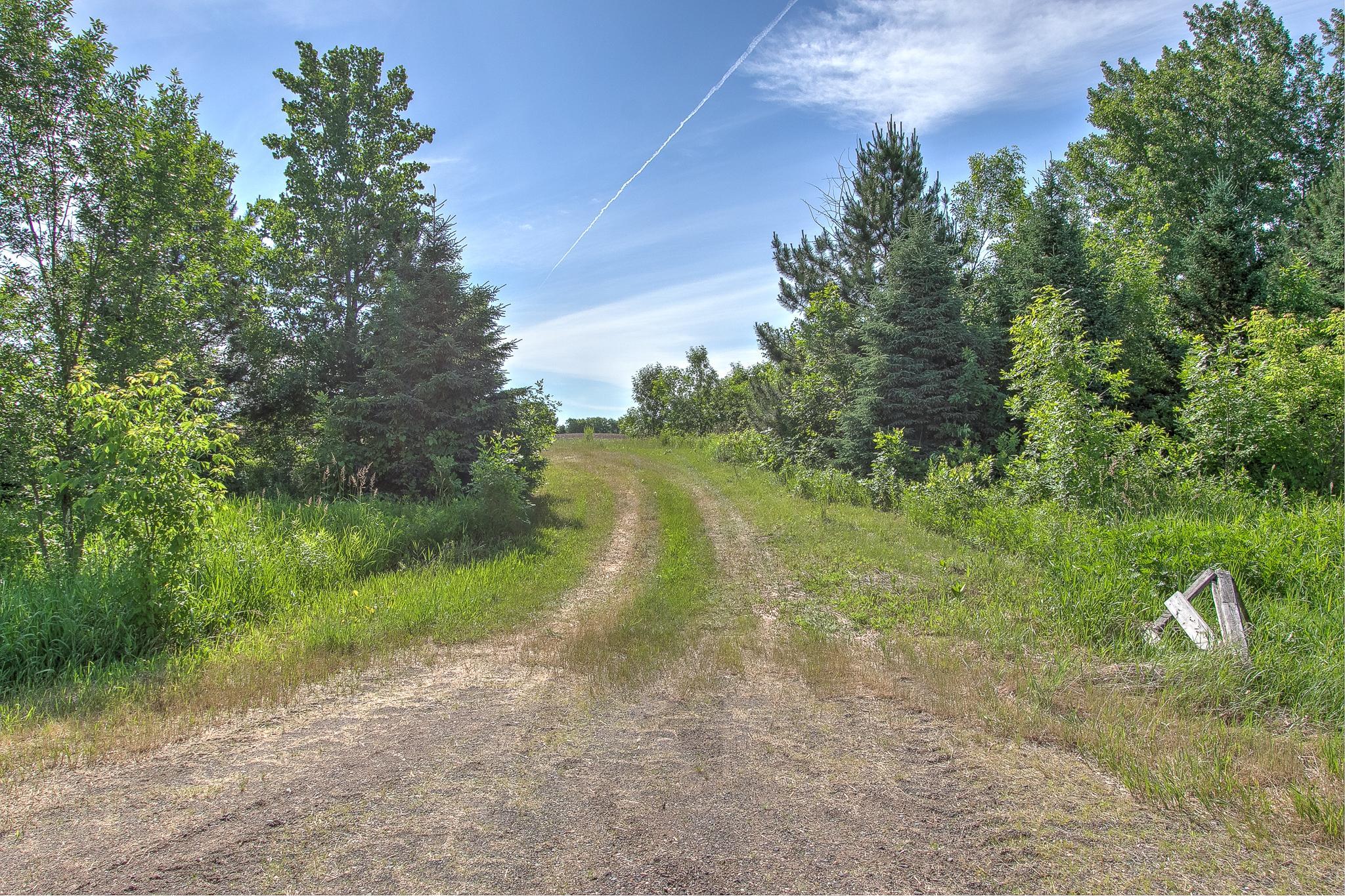 View of Land at TBD Rush Point Drive, Stanchfield MN 55080, Stanchfield (7 of 28) - Mike Wilen | Minnesota Team Real Estate