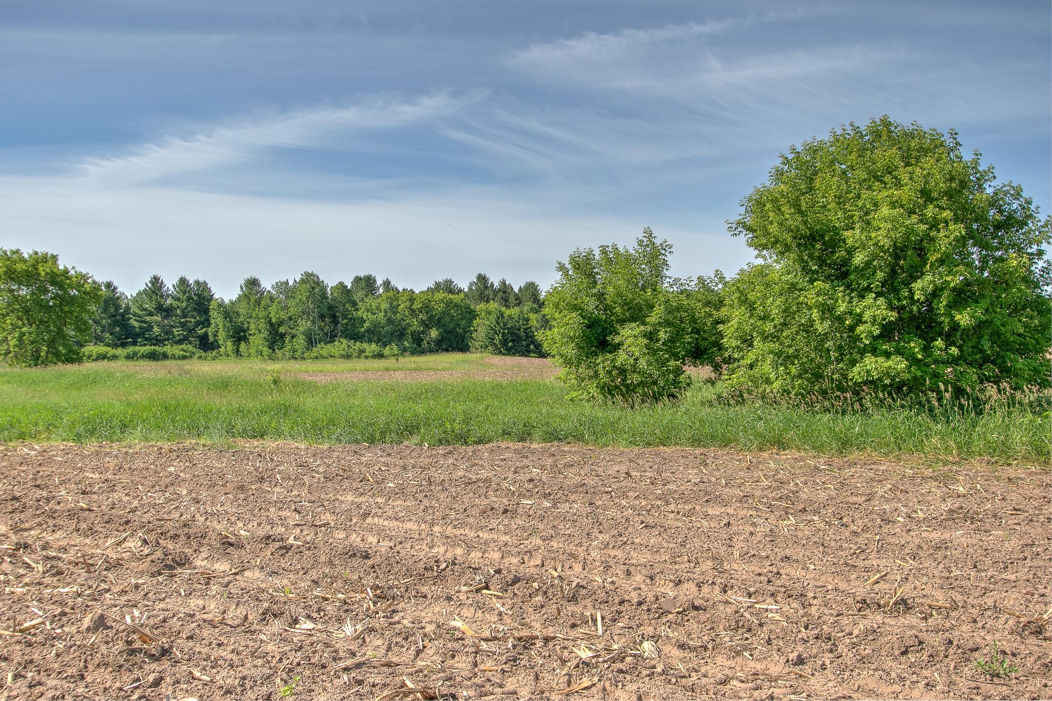 View of Land at TBD Rush Point Drive, Stanchfield MN 55080, Stanchfield (18 of 28) - Mike Wilen | Minnesota Team Real Estate