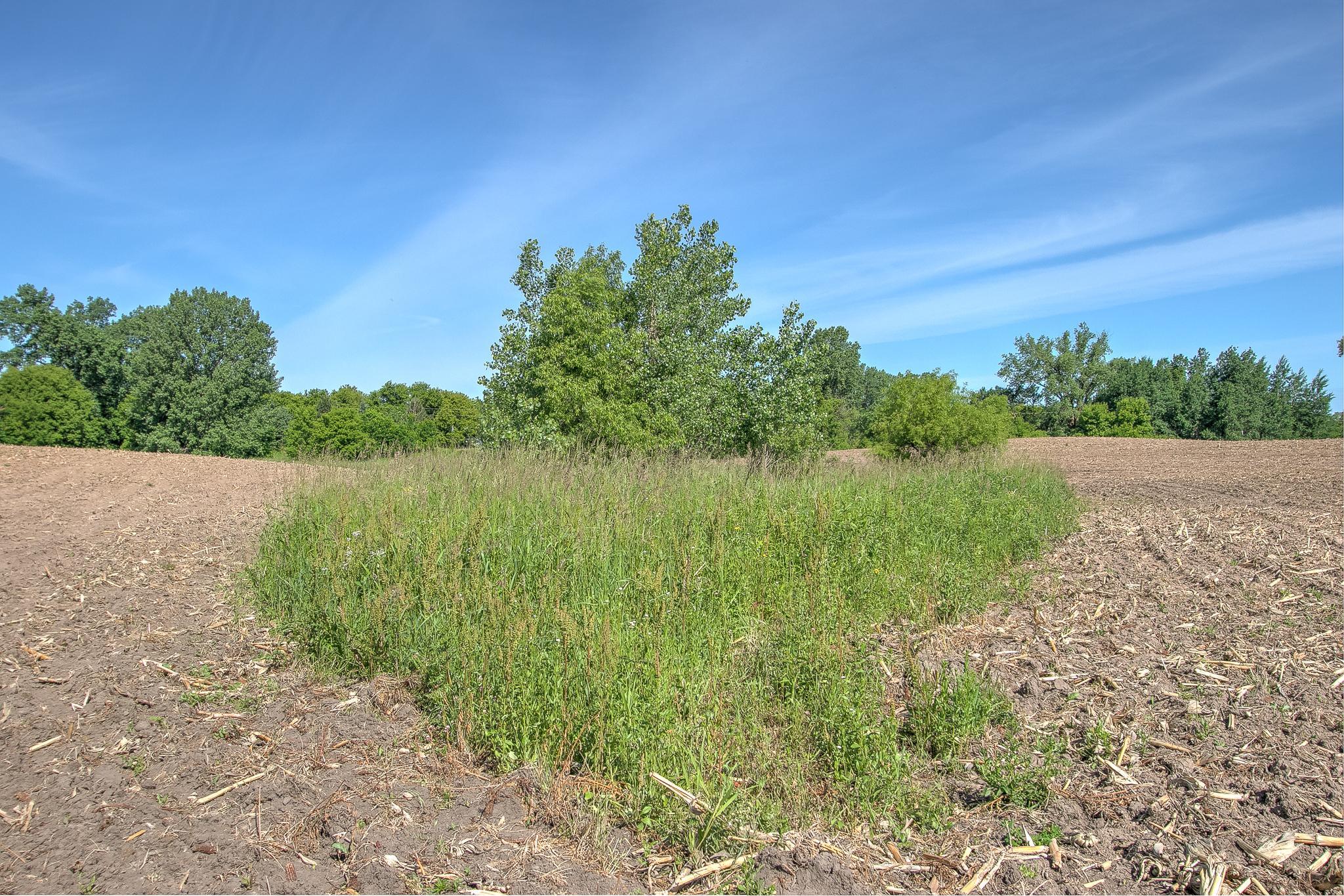 View of Land at TBD Rush Point Drive, Stanchfield MN 55080, Stanchfield (17 of 28) - Mike Wilen | Minnesota Team Real Estate