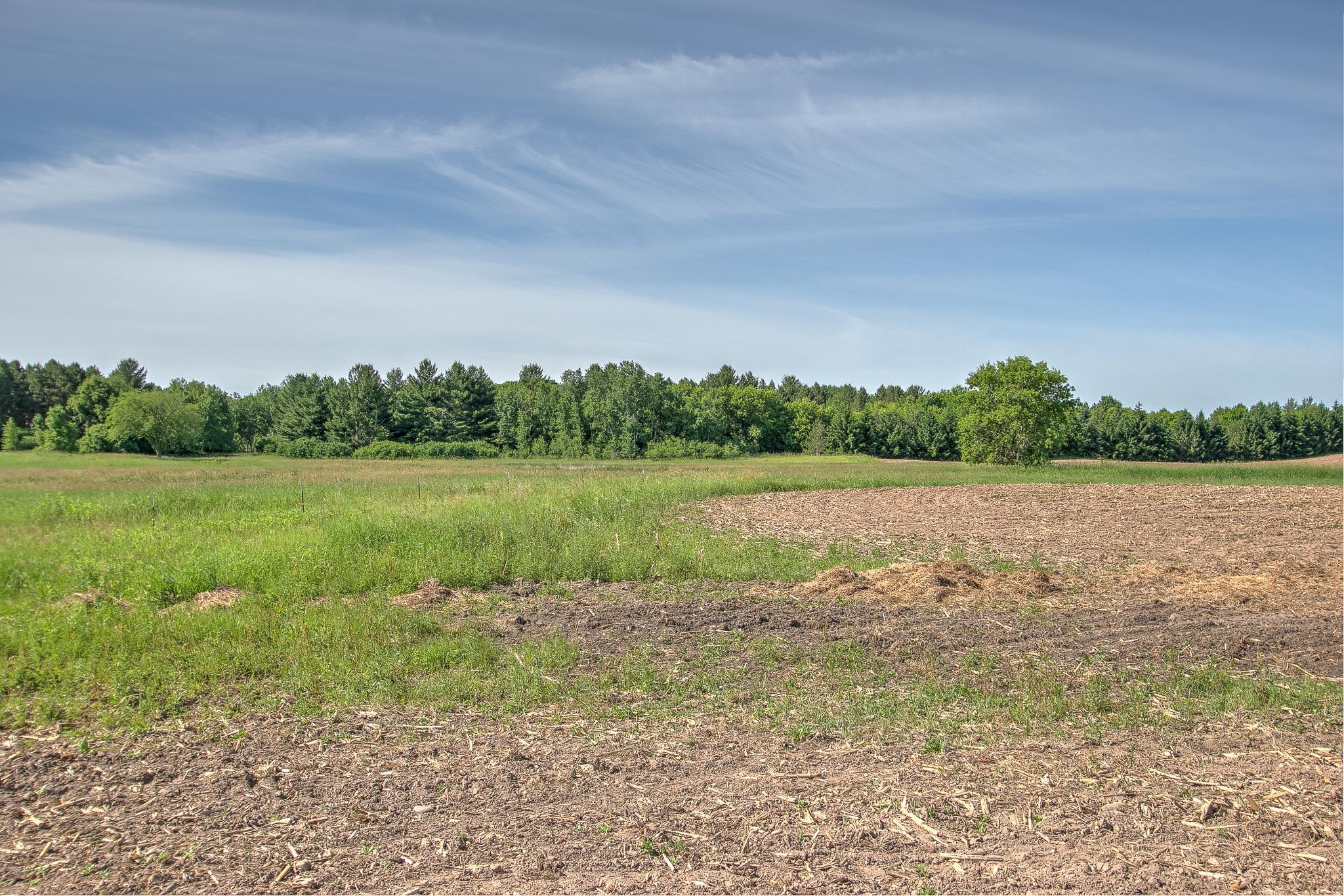 View of Land at TBD Rush Point Drive, Stanchfield MN 55080, Stanchfield (16 of 28) - Mike Wilen | Minnesota Team Real Estate