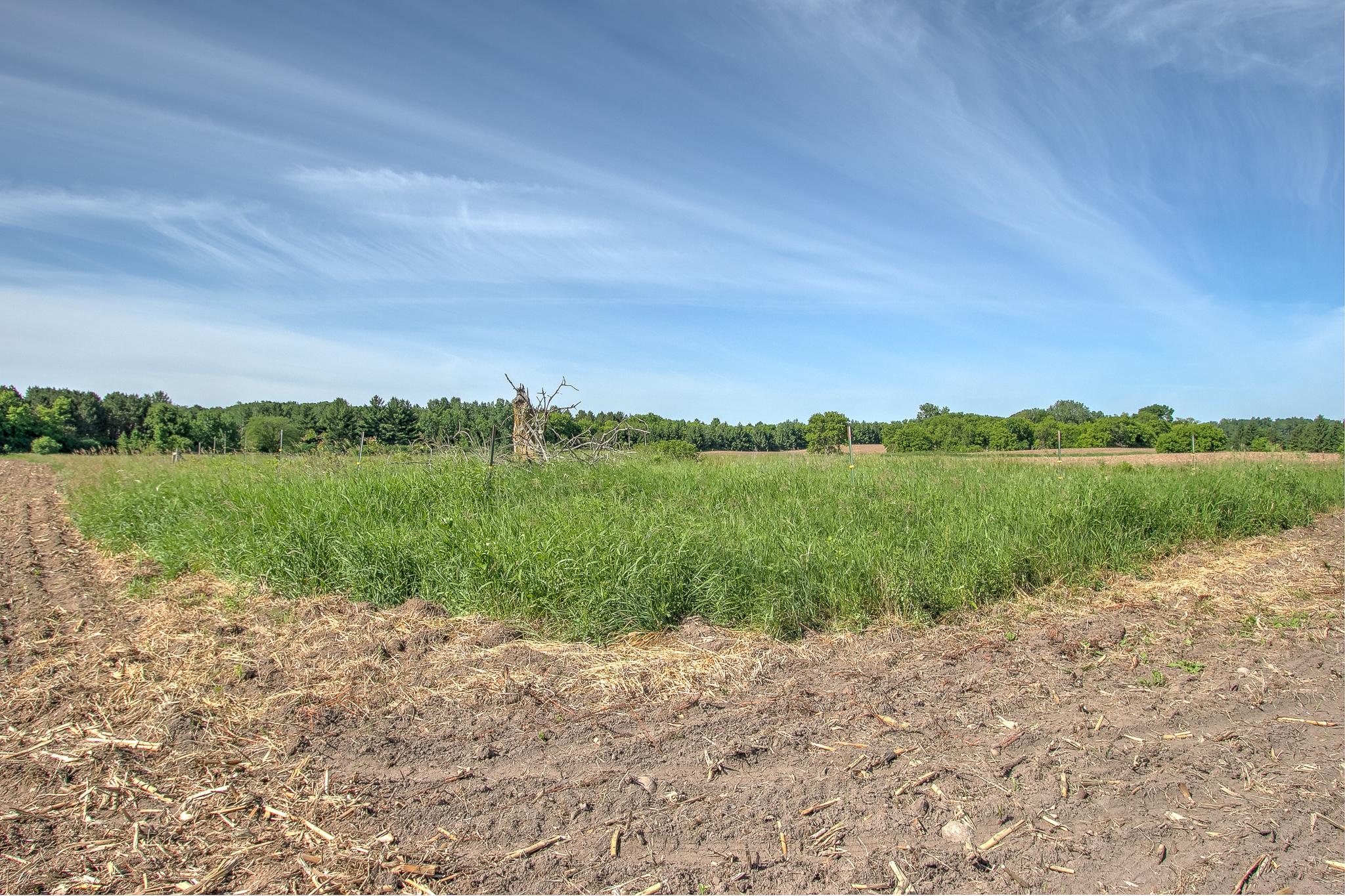 View of Land at TBD Rush Point Drive, Stanchfield MN 55080, Stanchfield (15 of 28) - Mike Wilen | Minnesota Team Real Estate