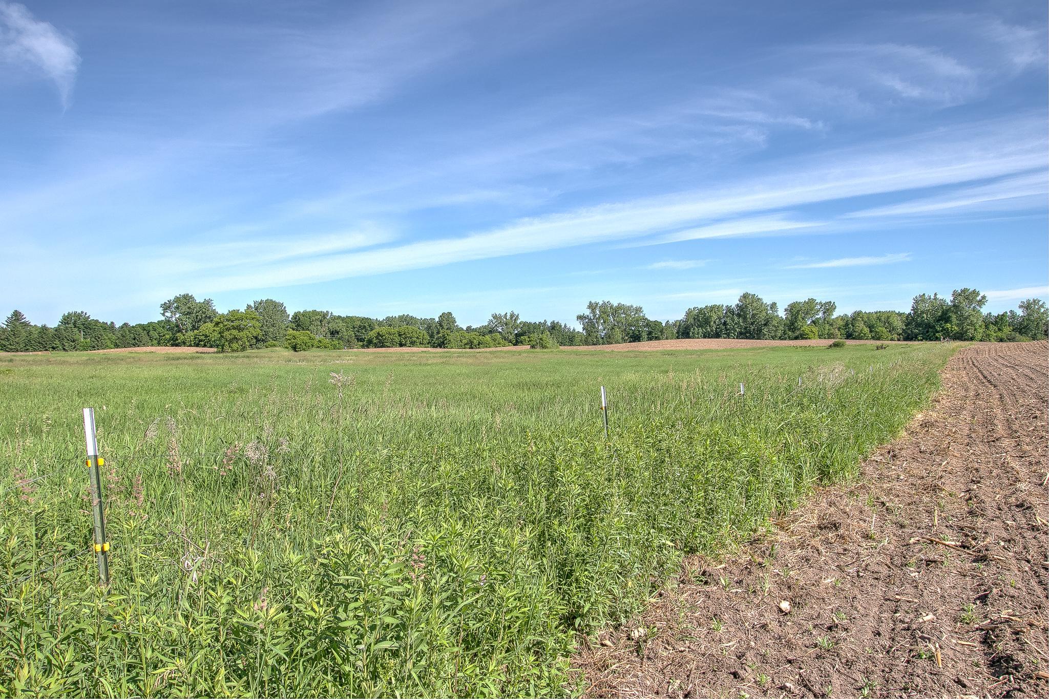 View of Land at TBD Rush Point Drive, Stanchfield MN 55080, Stanchfield (11 of 28) - Mike Wilen | Minnesota Team Real Estate