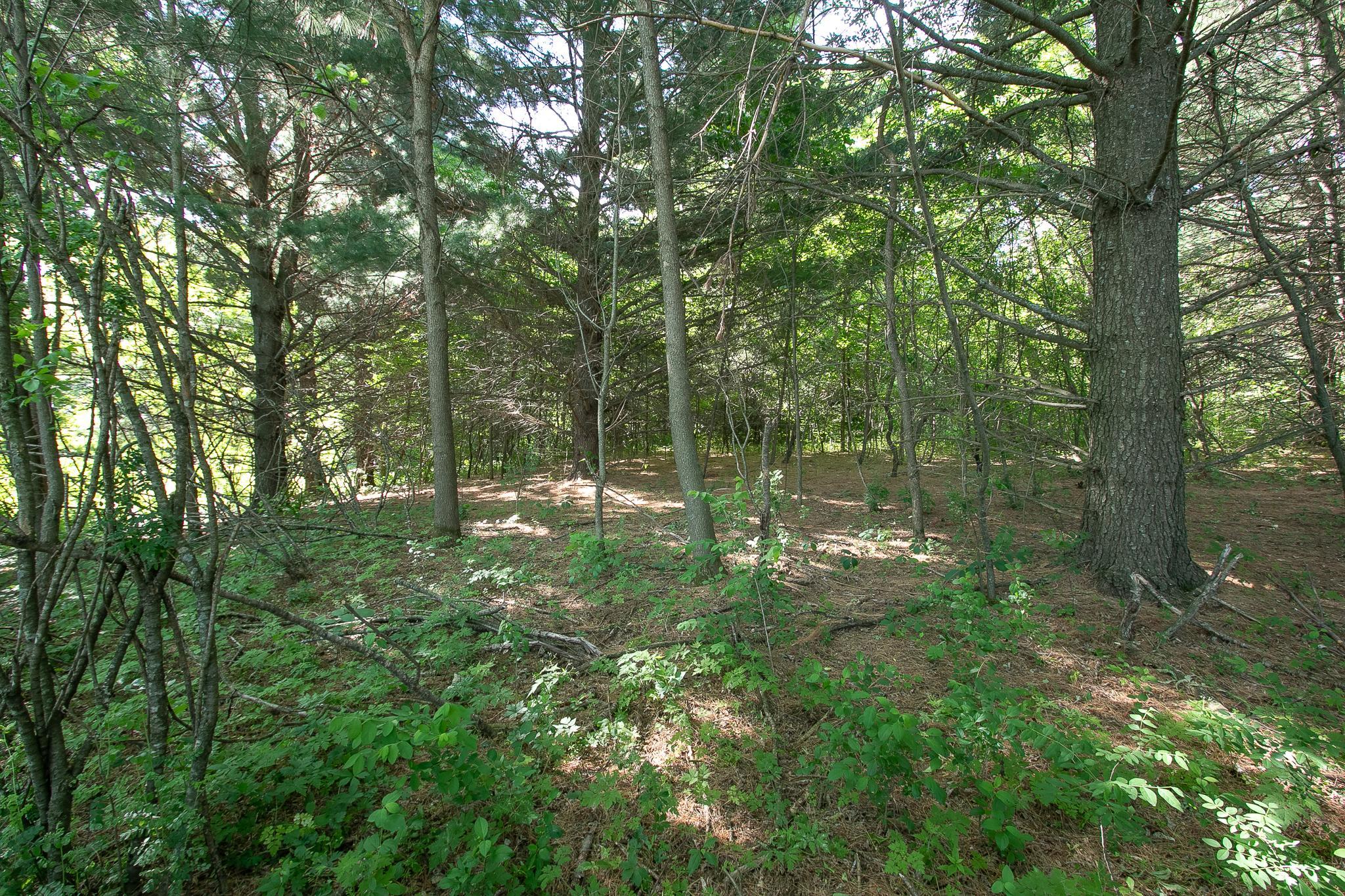 View of Land at TBD Rush Point Drive, Stanchfield MN 55080, Stanchfield (10 of 28) - Mike Wilen | Minnesota Team Real Estate