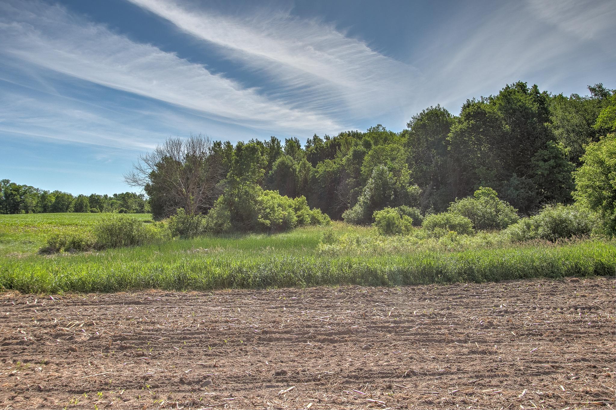 View of Land at TBD Rush Point Drive, Stanchfield MN 55080, Stanchfield (9 of 28) - Mike Wilen | Minnesota Team Real Estate