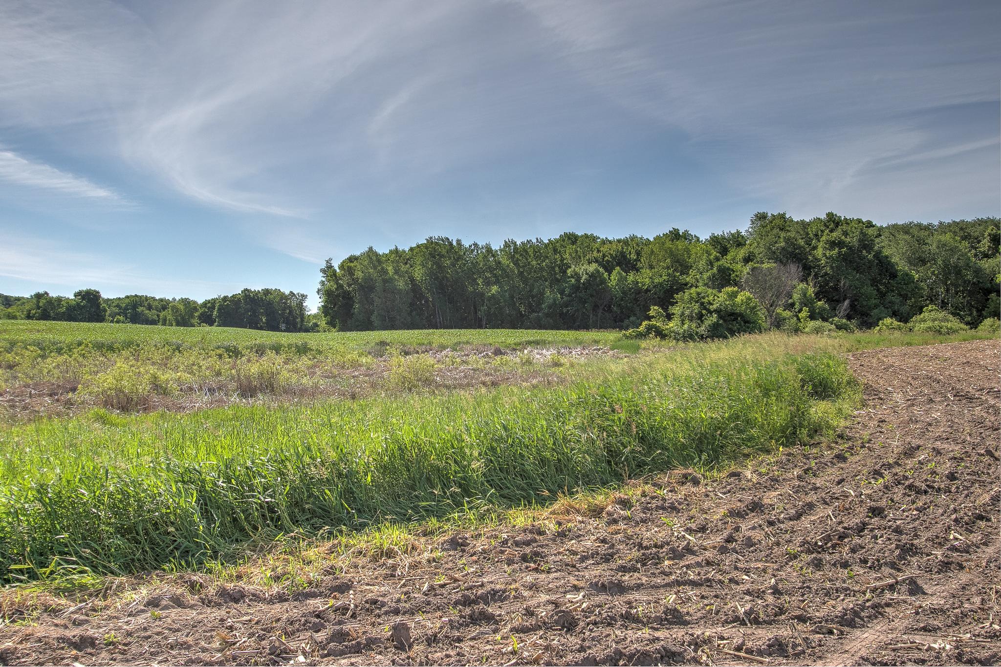 View of Land at TBD Rush Point Drive, Stanchfield MN 55080, Stanchfield (8 of 28) - Mike Wilen | Minnesota Team Real Estate