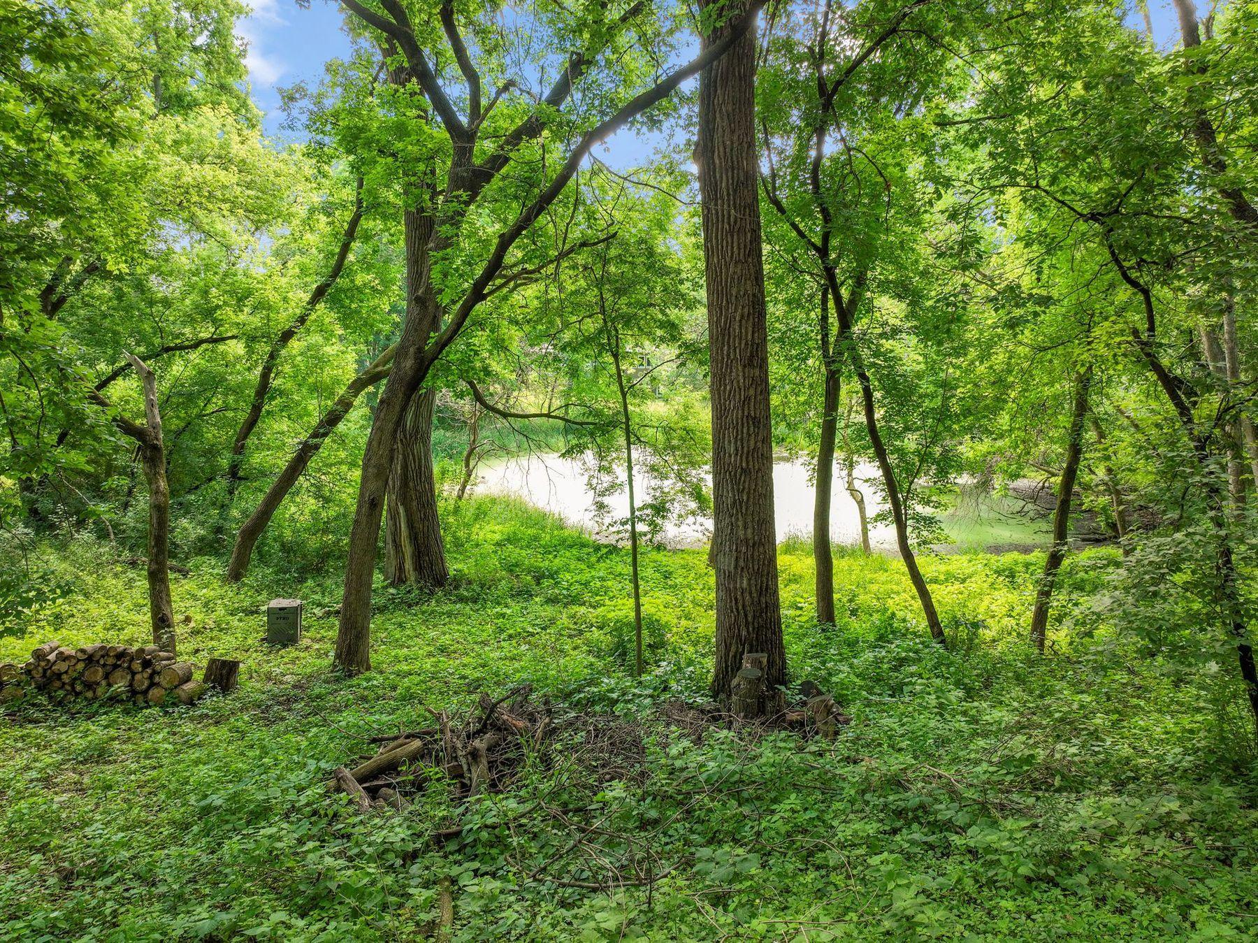 View of Residential at 5429 Vining Point Road, Minnetonka MN 55345, Minnetonka (64 of 77) - Mike Wilen | Minnesota Team Real Estate