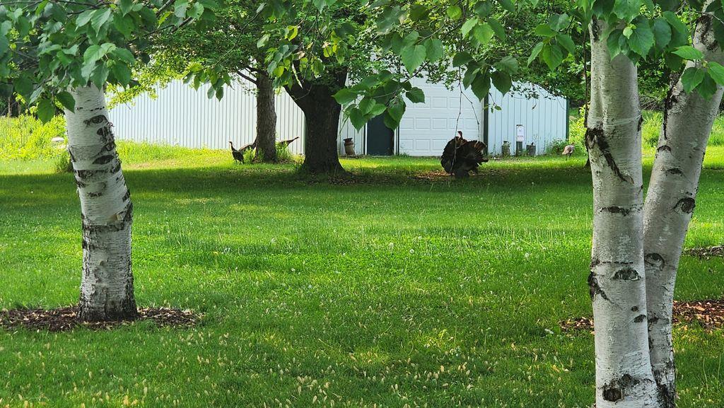 View of Residential at 14890 Country Road, Rogers MN 55374, Rogers (36 of 46) - Mike Wilen | Minnesota Team Real Estate