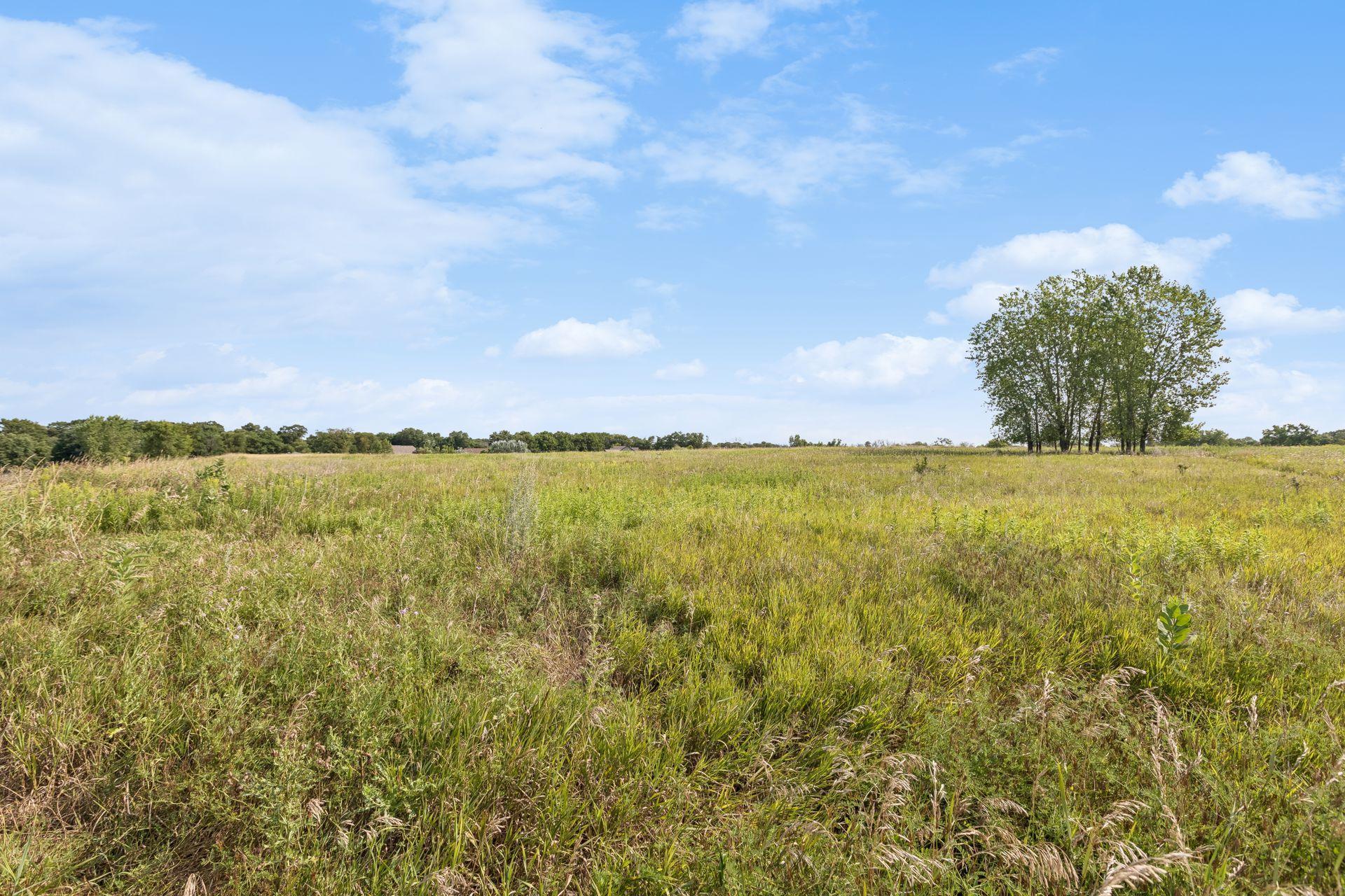 View of Residential at 10577 Alamo Street, Blaine MN 55449, Blaine (72 of 101) - Mike Wilen | Minnesota Team Real Estate