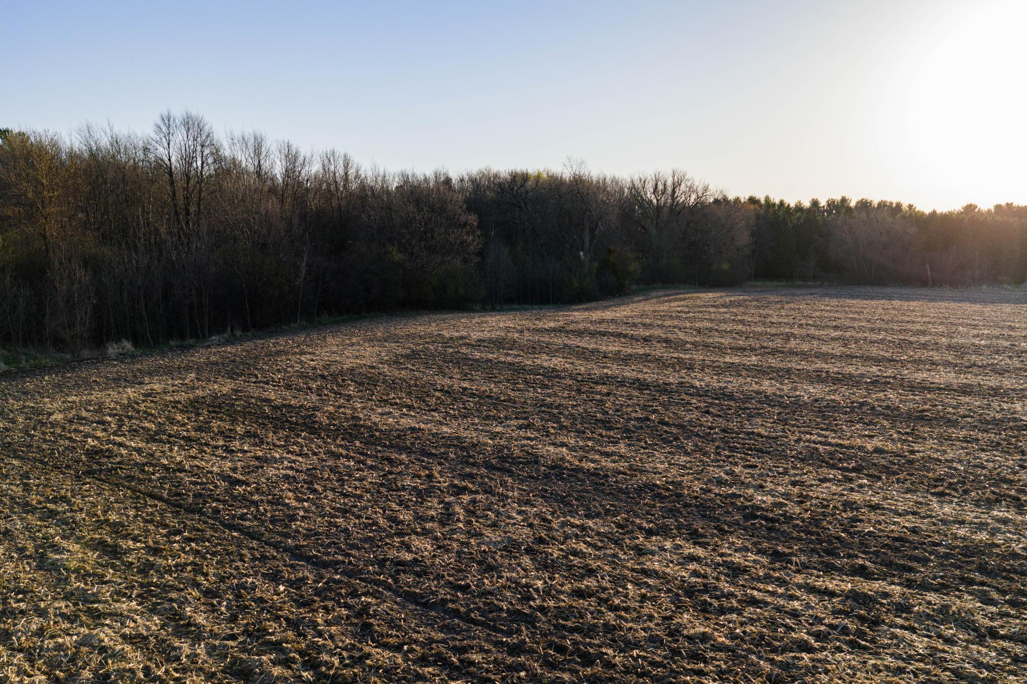 View of Land at TBD Lot 1 Park Trail, Center City MN 55012, Center City (9 of 21) - Mike Wilen | Minnesota Team Real Estate