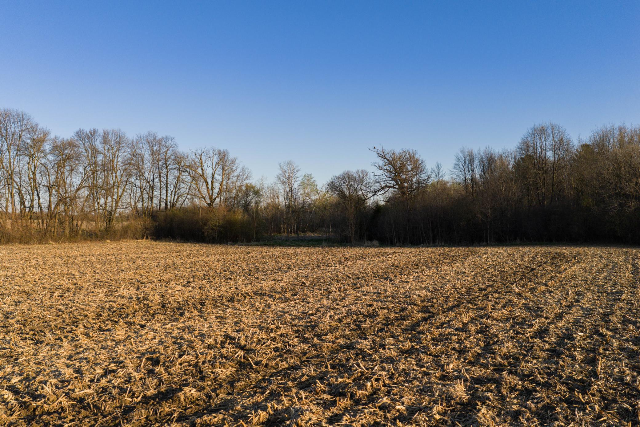 View of Land at TBD Lot 1 Park Trail, Center City MN 55012, Center City (7 of 21) - Mike Wilen | Minnesota Team Real Estate