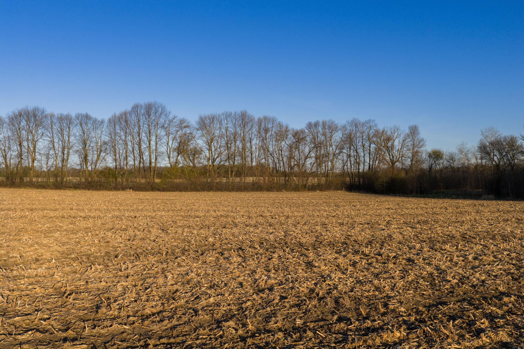 View of Land at TBD Lot 1 Park Trail, Center City MN 55012, Center City (6 of 21) - Mike Wilen | Minnesota Team Real Estate