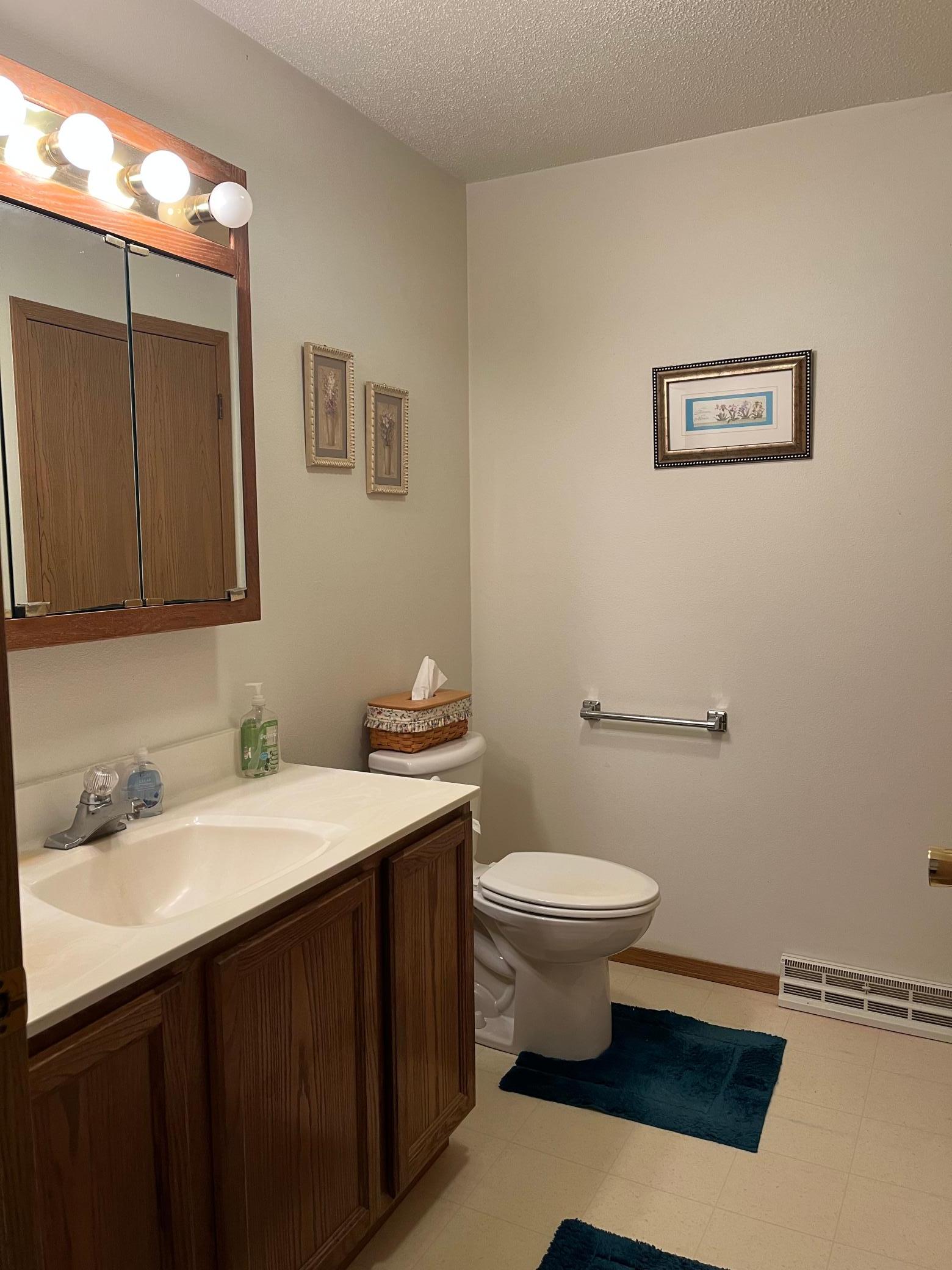View of Residential at 27761 Jonquil Avenue, Elko New Market MN 55020, Elko New Market (15 of 29) - Mike Wilen | Minnesota Team Real Estate