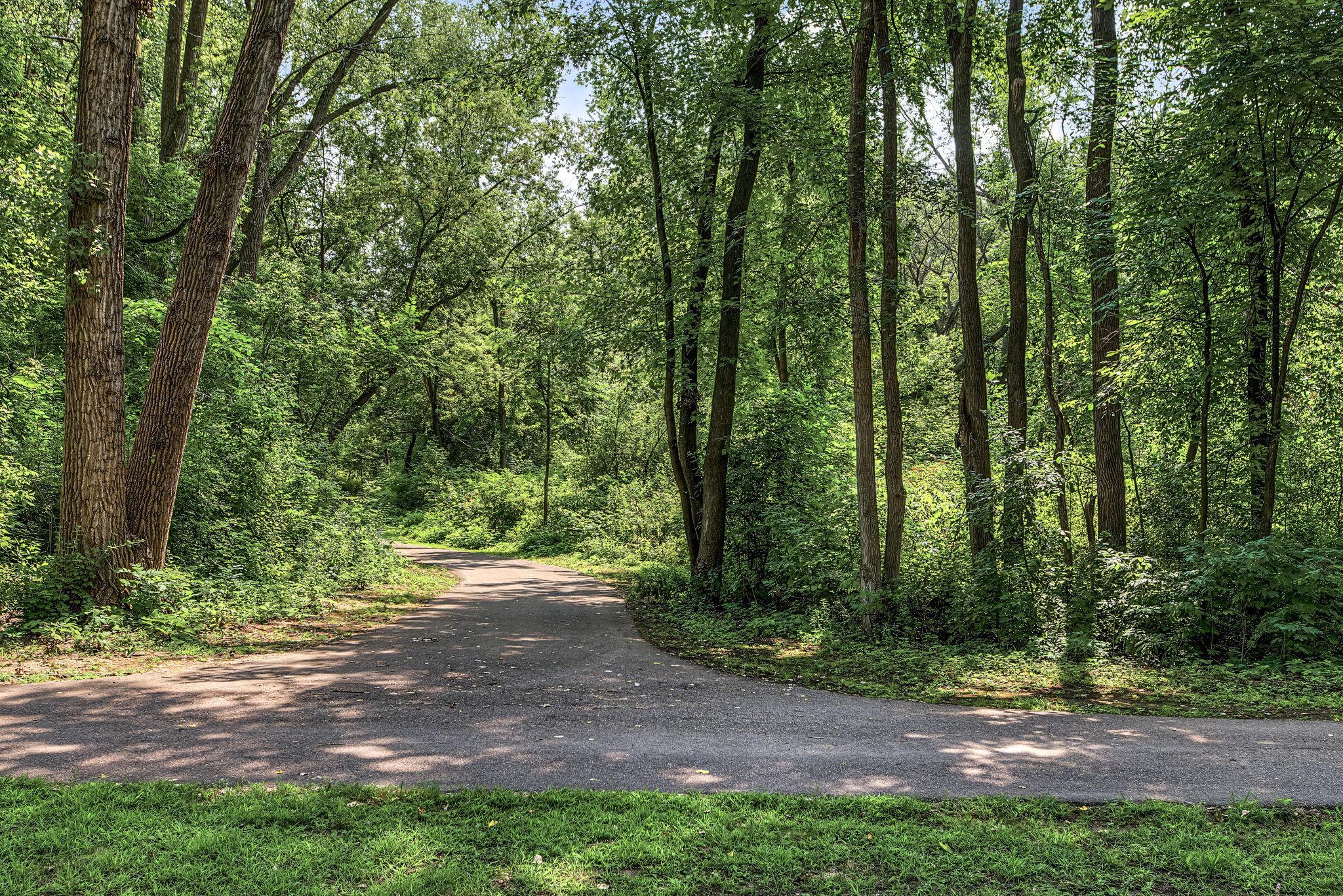 View of Residential at 16205 Logarto Lane, Lakeville MN 55044, Lakeville (51 of 56) - Mike Wilen | Minnesota Team Real Estate