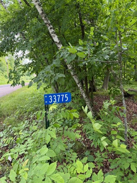 View of Land at 33775 Mcneil Road, Aitkin MN 56431, Aitkin (15 of 24) - Mike Wilen | Minnesota Team Real Estate