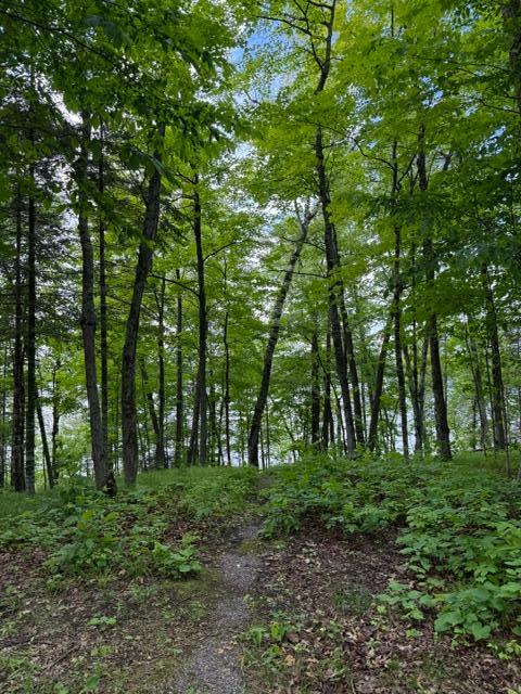 View of Land at 33775 Mcneil Road, Aitkin MN 56431, Aitkin (11 of 24) - Mike Wilen | Minnesota Team Real Estate