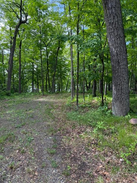 View of Land at 33775 Mcneil Road, Aitkin MN 56431, Aitkin (3 of 24) - Mike Wilen | Minnesota Team Real Estate