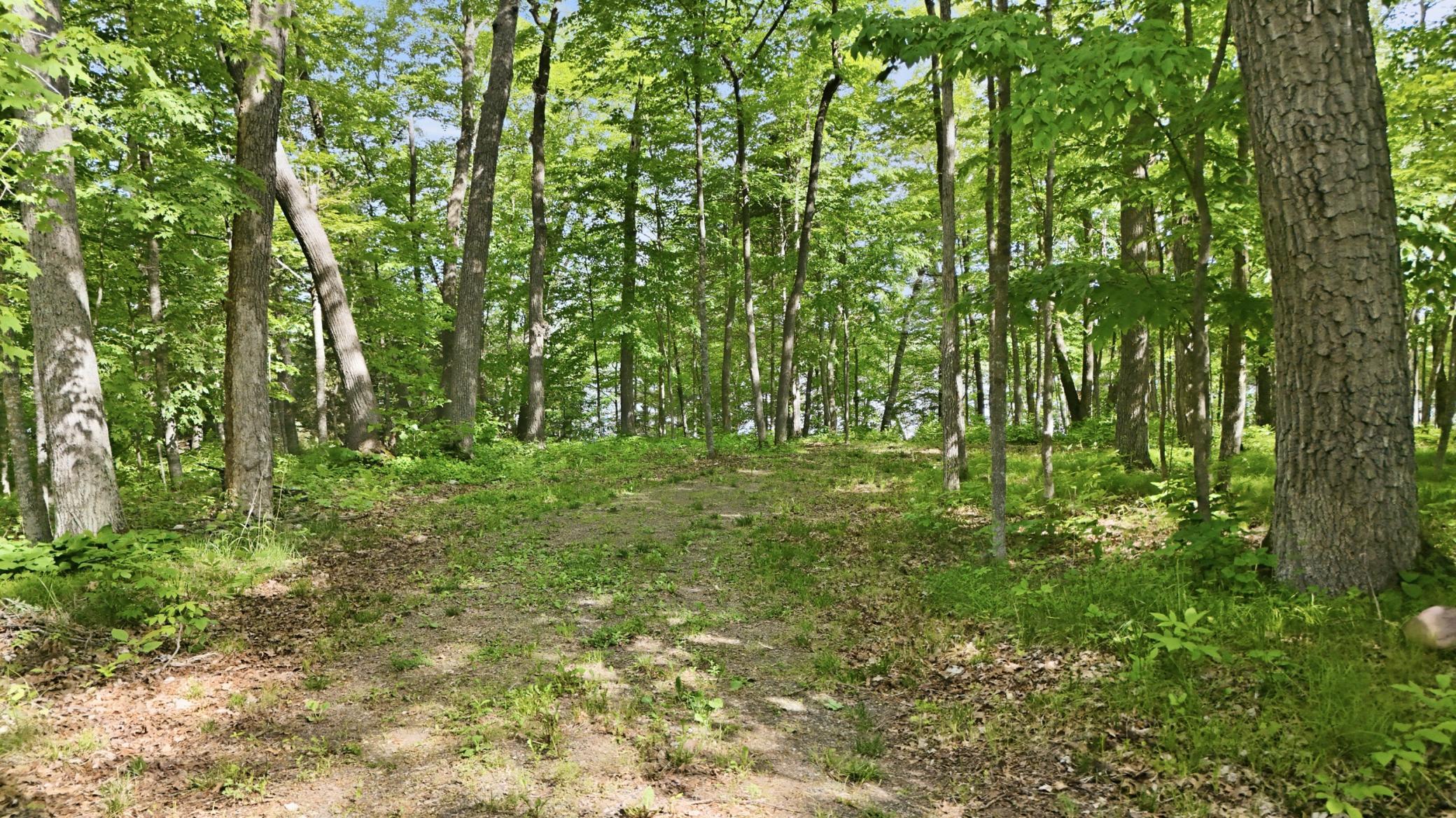 View of Land at 33775 Mcneil Road, Aitkin MN 56431, Aitkin (22 of 24) - Mike Wilen | Minnesota Team Real Estate