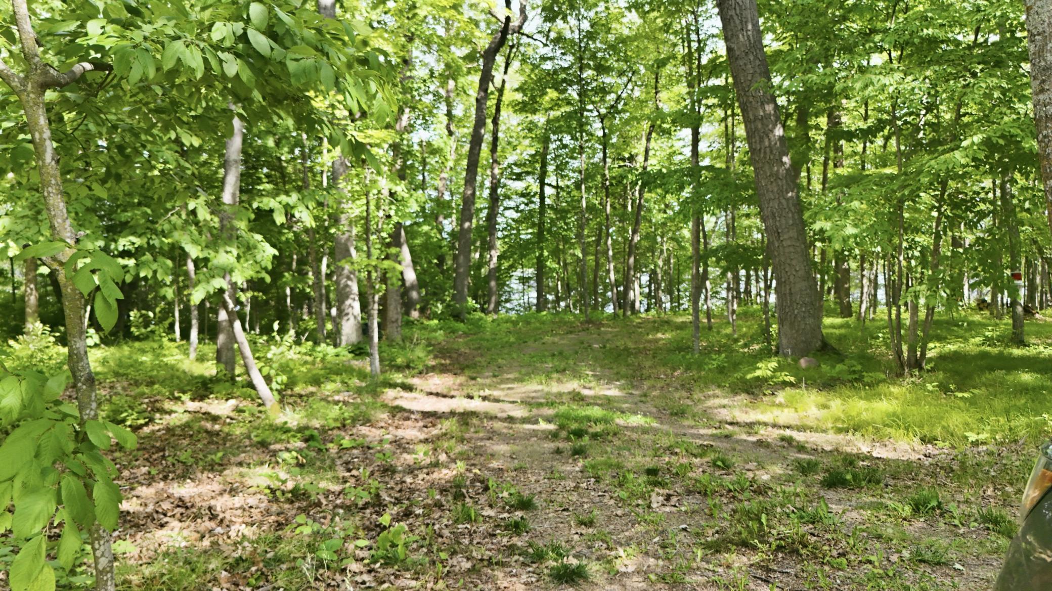 View of Land at 33775 Mcneil Road, Aitkin MN 56431, Aitkin (20 of 24) - Mike Wilen | Minnesota Team Real Estate