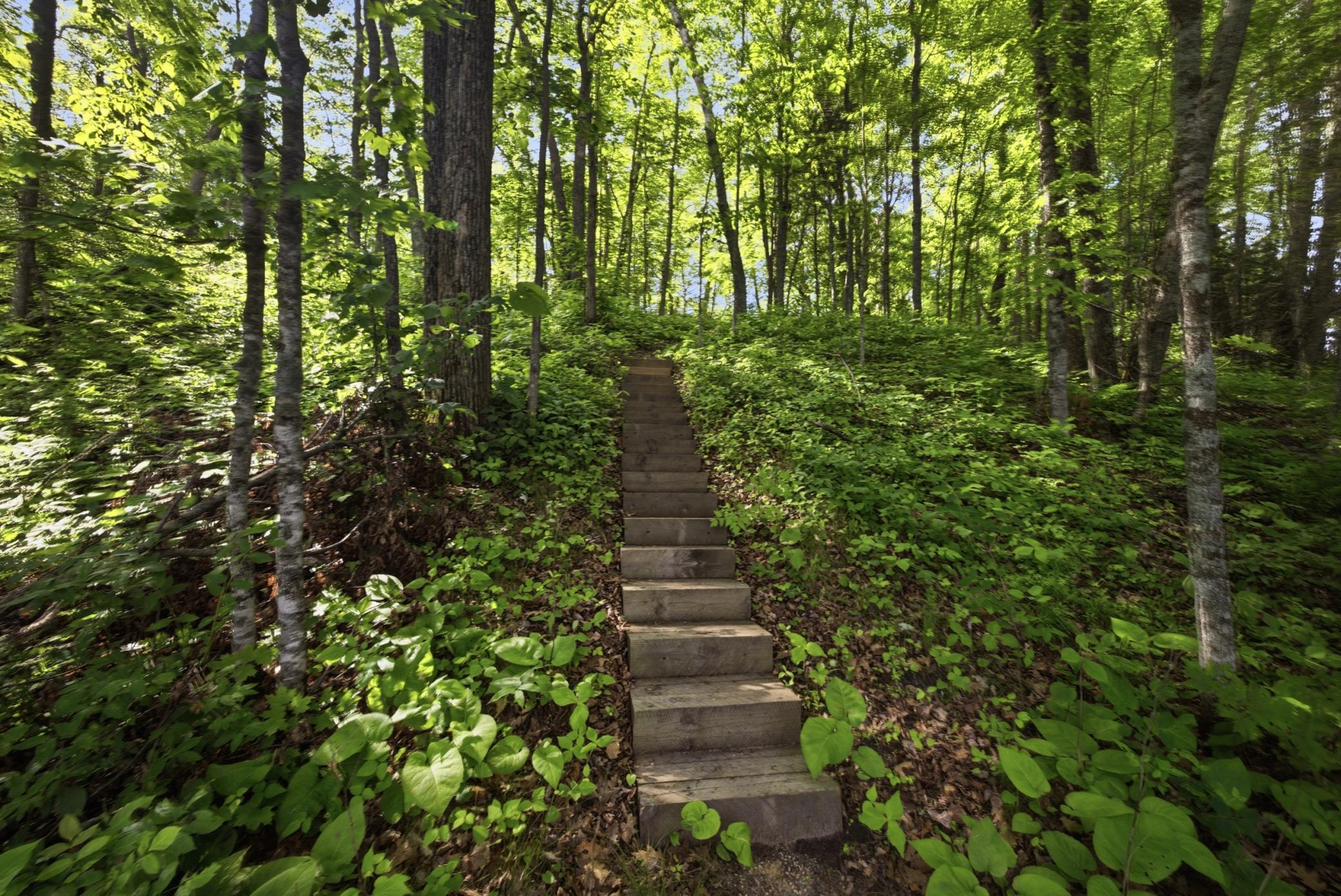 View of Land at 33775 Mcneil Road, Aitkin MN 56431, Aitkin (18 of 24) - Mike Wilen | Minnesota Team Real Estate