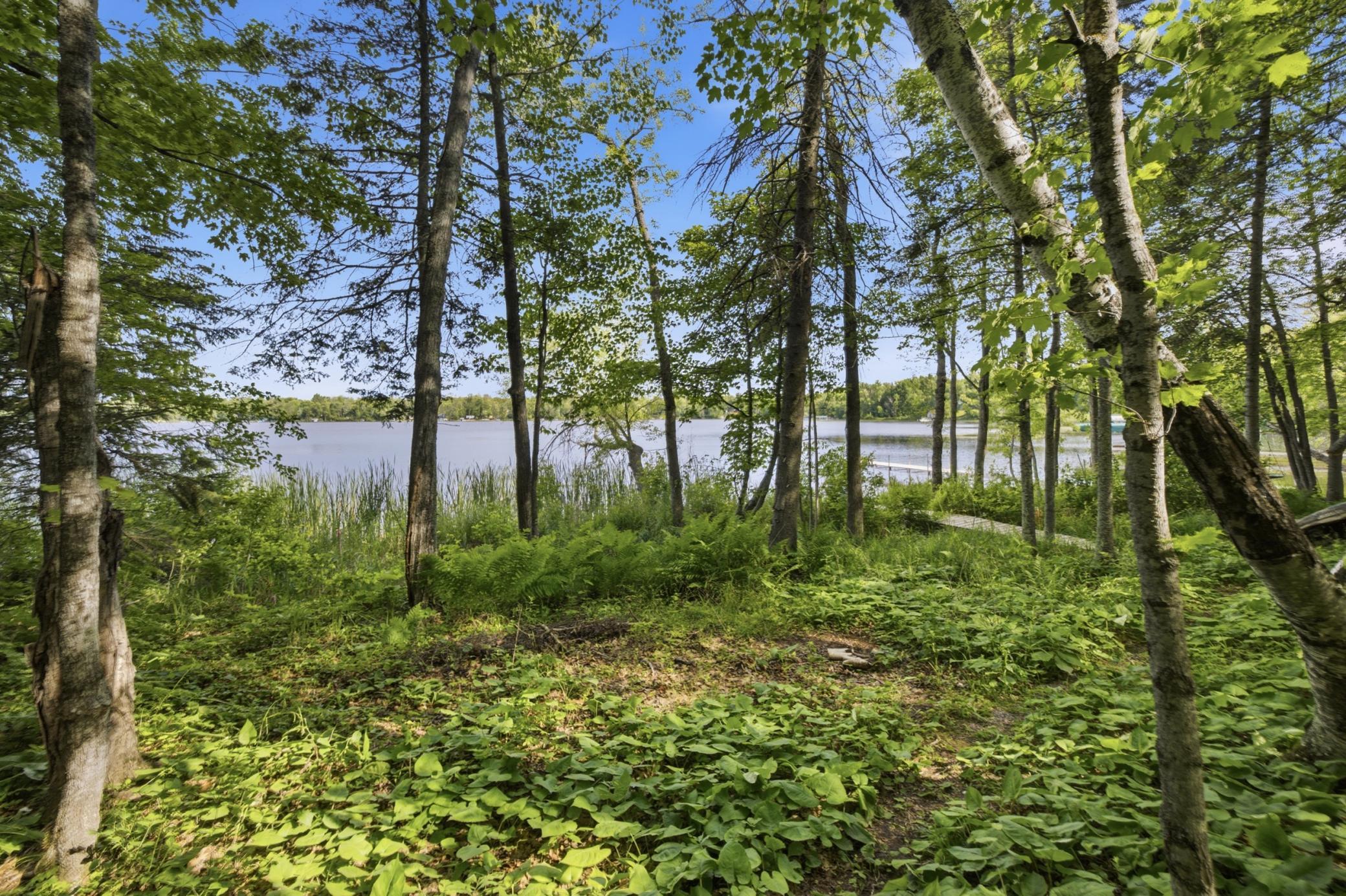 View of Land at 33775 Mcneil Road, Aitkin MN 56431, Aitkin (17 of 24) - Mike Wilen | Minnesota Team Real Estate