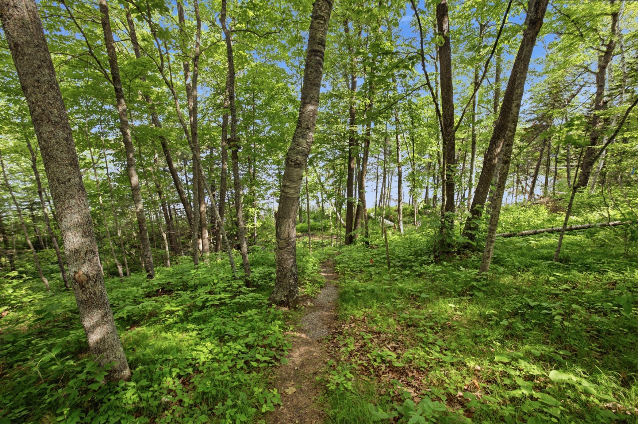 View of Land at 33775 Mcneil Road, Aitkin MN 56431, Aitkin (16 of 24) - Mike Wilen | Minnesota Team Real Estate