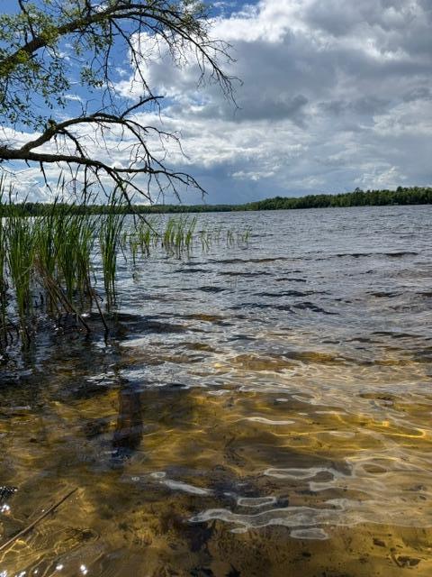 View of Land at 33775 Mcneil Road, Aitkin MN 56431, Aitkin - Mike Wilen | Minnesota Team Real Estate