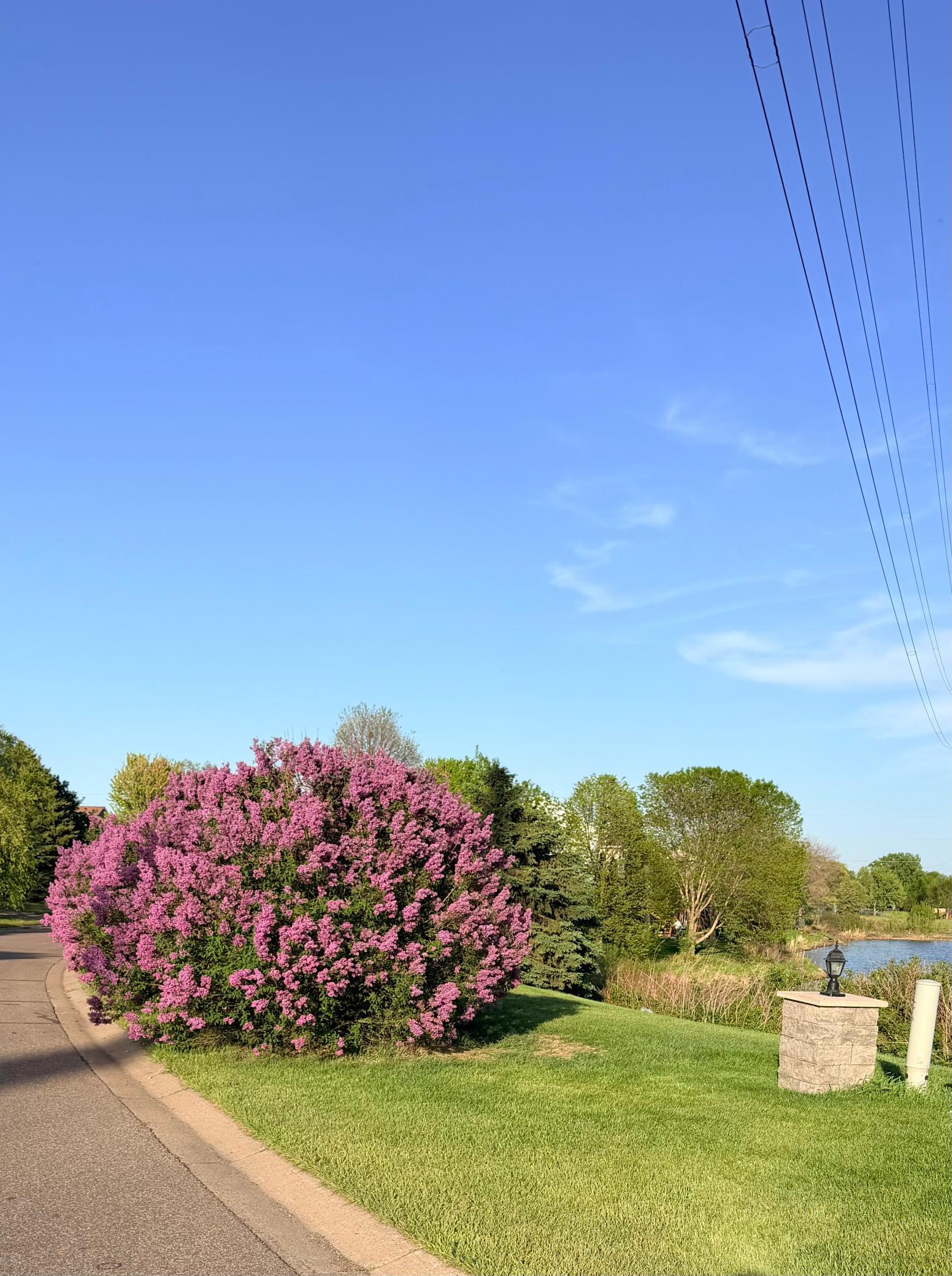 View of Residential at 3309 Carnation Avenue, Brooklyn Park MN 55443, Brooklyn Park (33 of 41) - Mike Wilen | Minnesota Team Real Estate